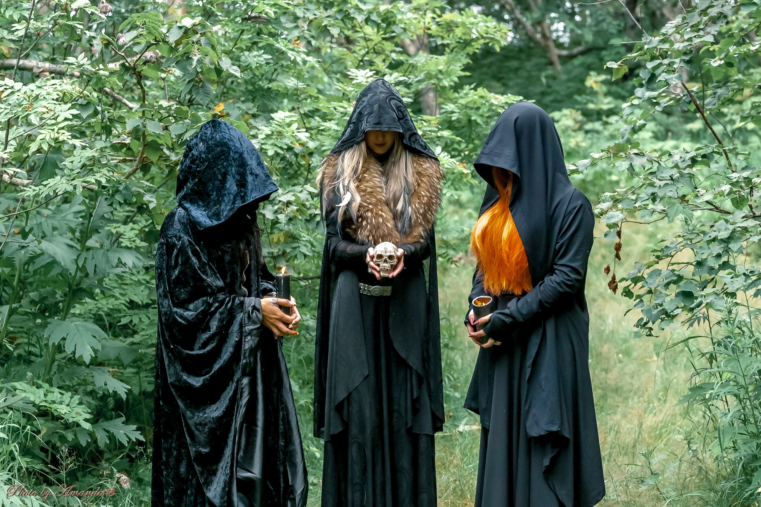 The witches. Репортажная съемка в Москве и области. Анималистика