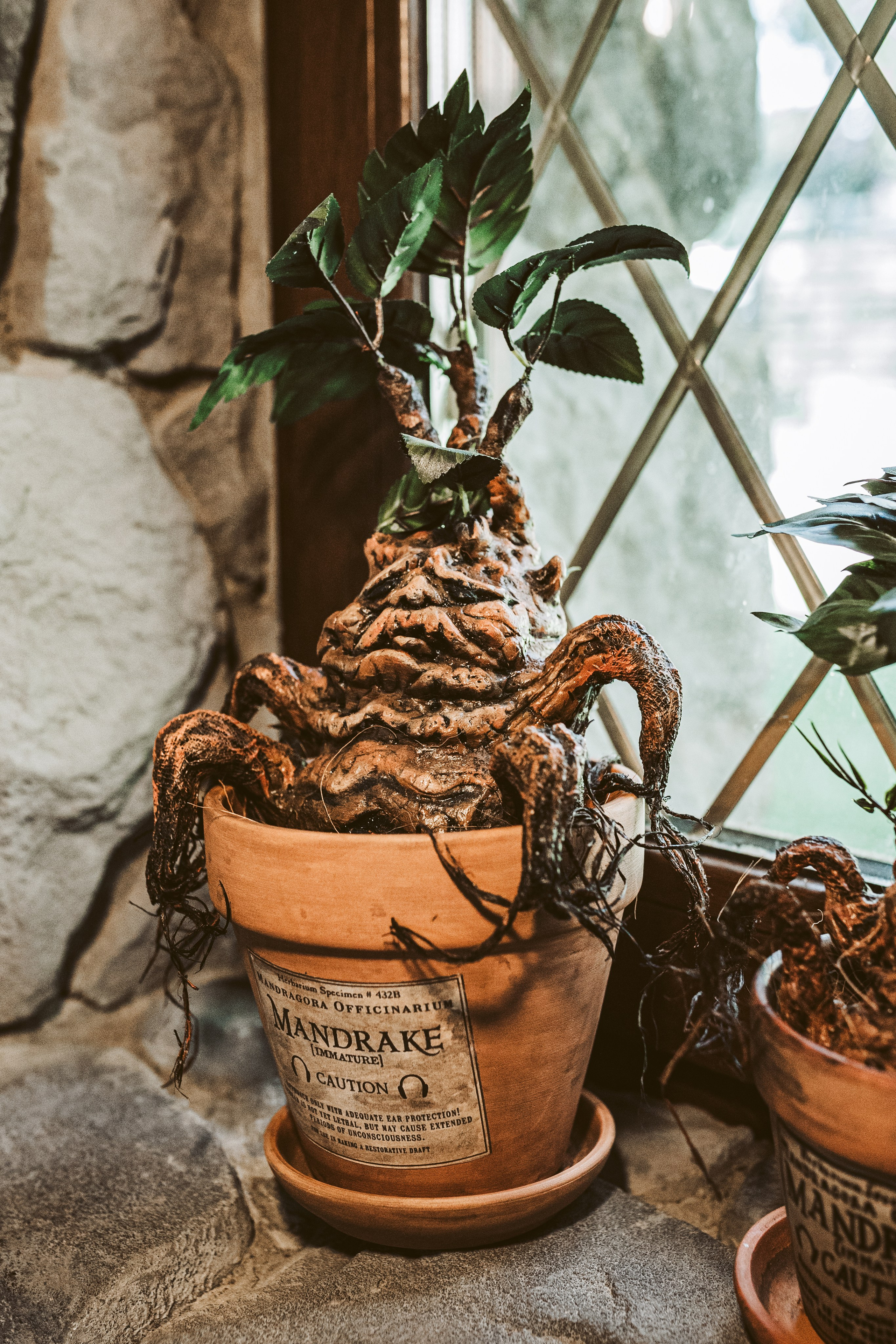 Хижина Хагрида. Свадебный фотограф Курзина Ольга | Москва