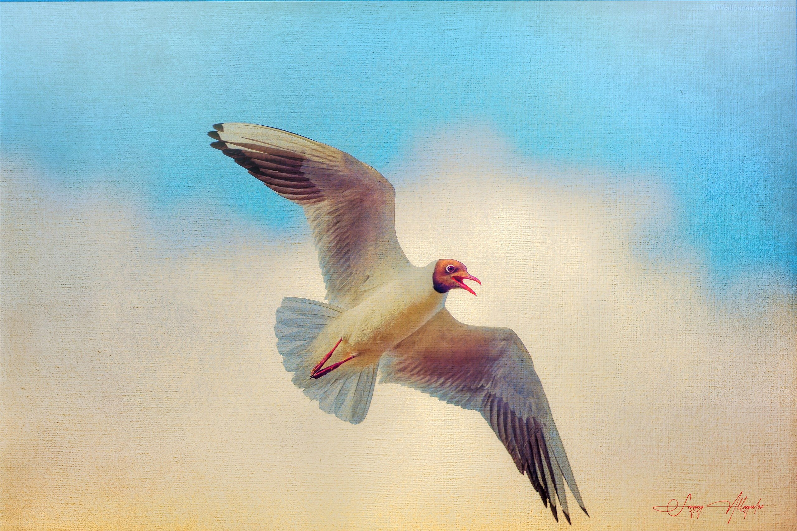 ПРИРОДА. Слепки времени. Фотографии природы и событий. Москва. Сергей Аллагулов