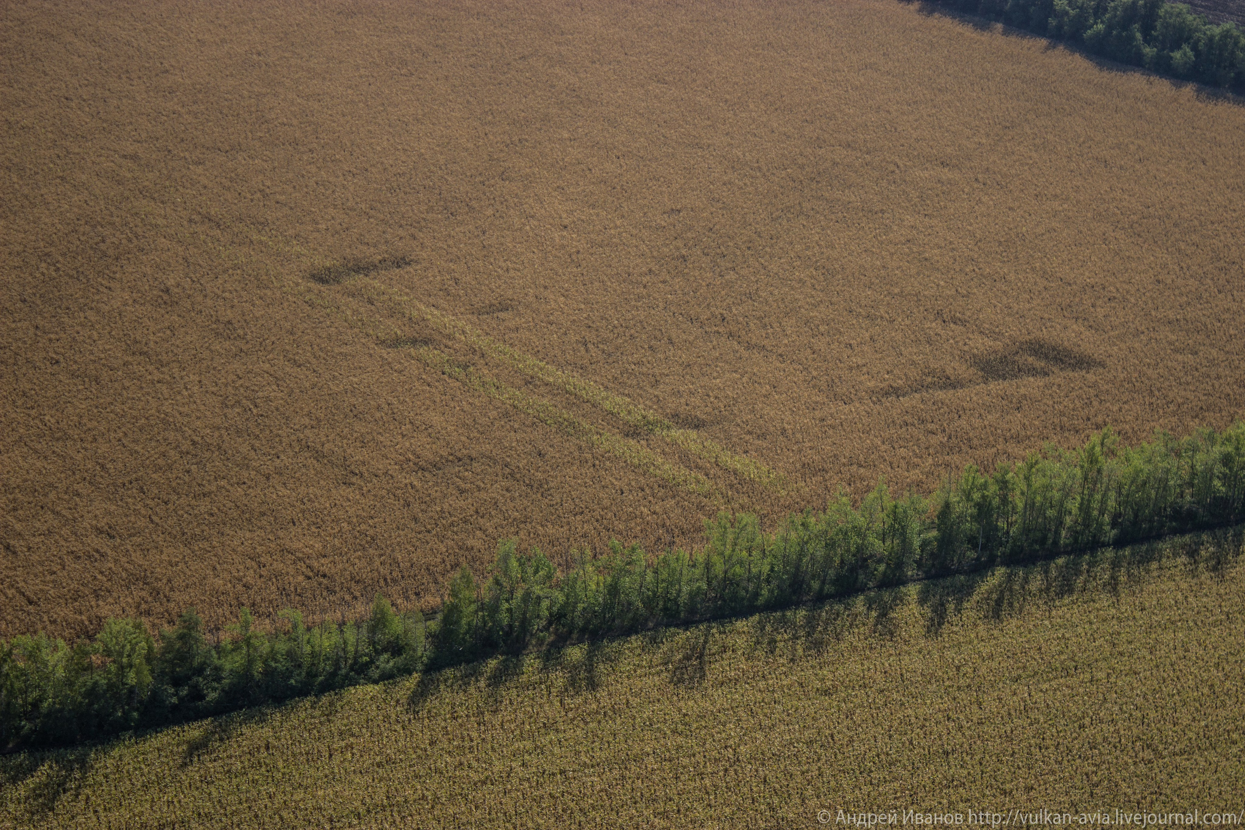 Волгодонск аэр. Потапов слёт «Небо для всех» (2021 г.). Фотоальбом показывающий увлекательный мир авиации и мир медведей Андрея Иванова