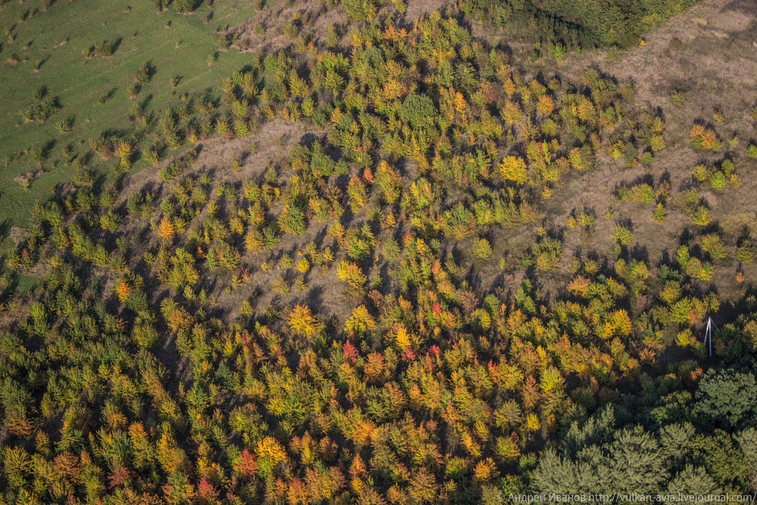 Волгодонск аэр. Потапов слёт «Небо для всех» (2021 г.). Фотоальбом показывающий увлекательный мир авиации и мир медведей Андрея Иванова