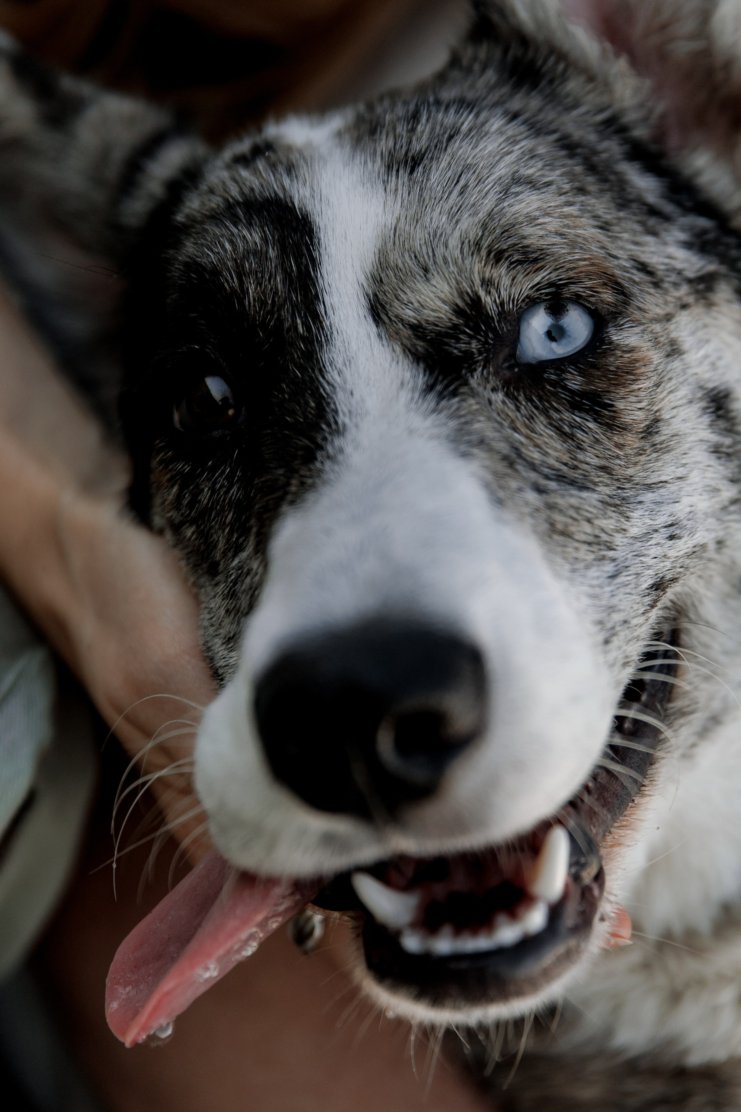 За городом. Свадебный и семейный фотограф в Екатеринбурге Катя Буряк