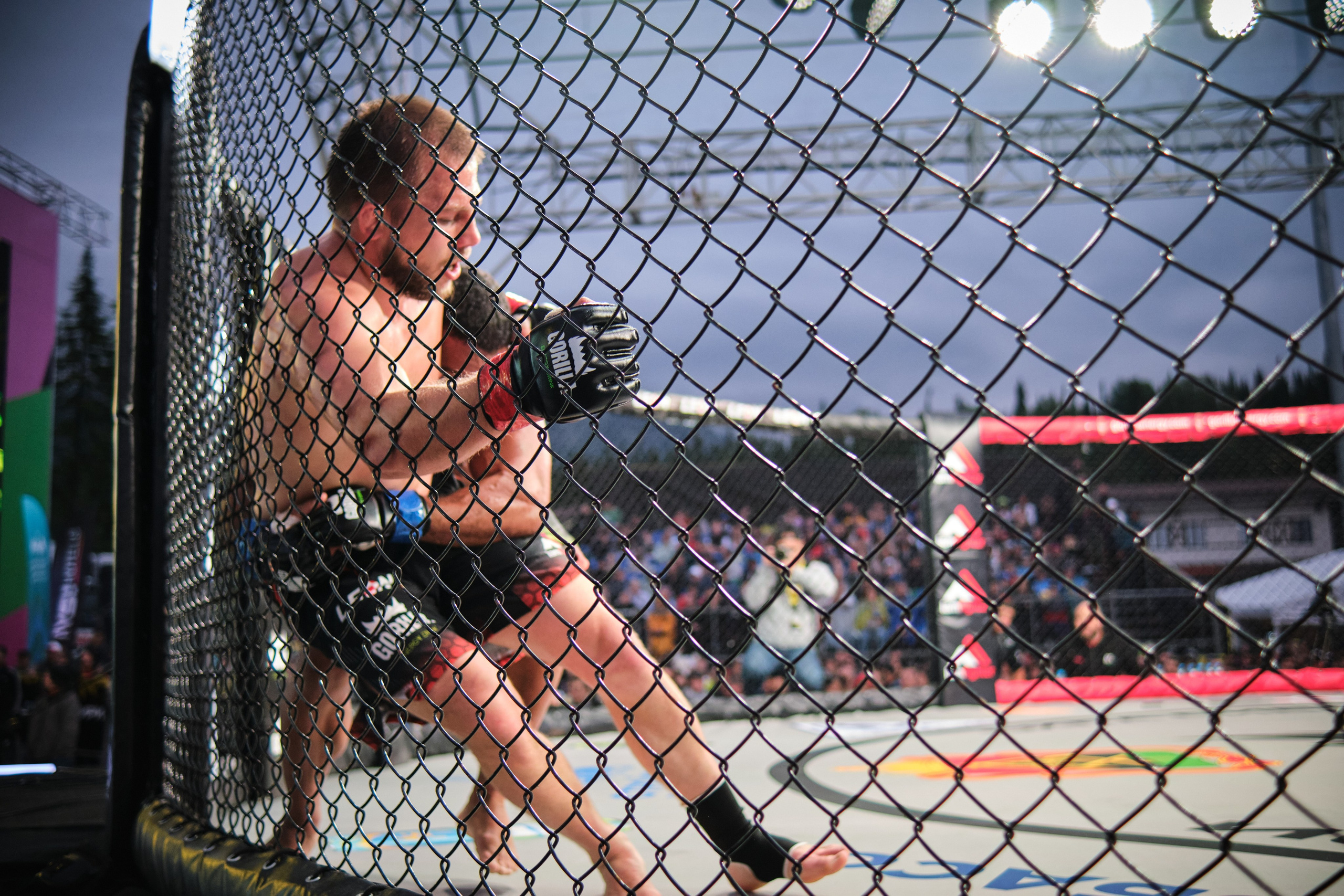 ММА на ПРО ГЕШ. Свадебный и семейный фотограф в Новокузнецке Иван Иванов