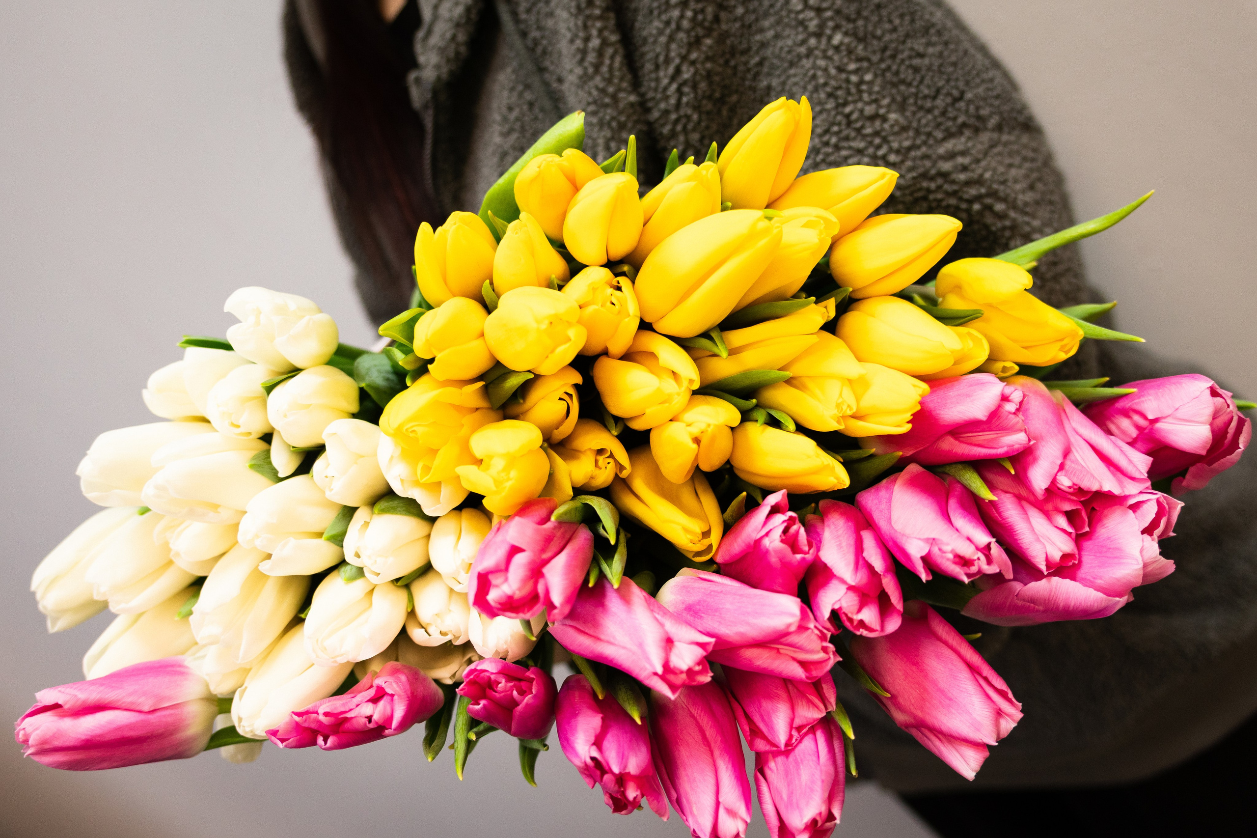 желтые, розовые, белыее тюльпаны в руках