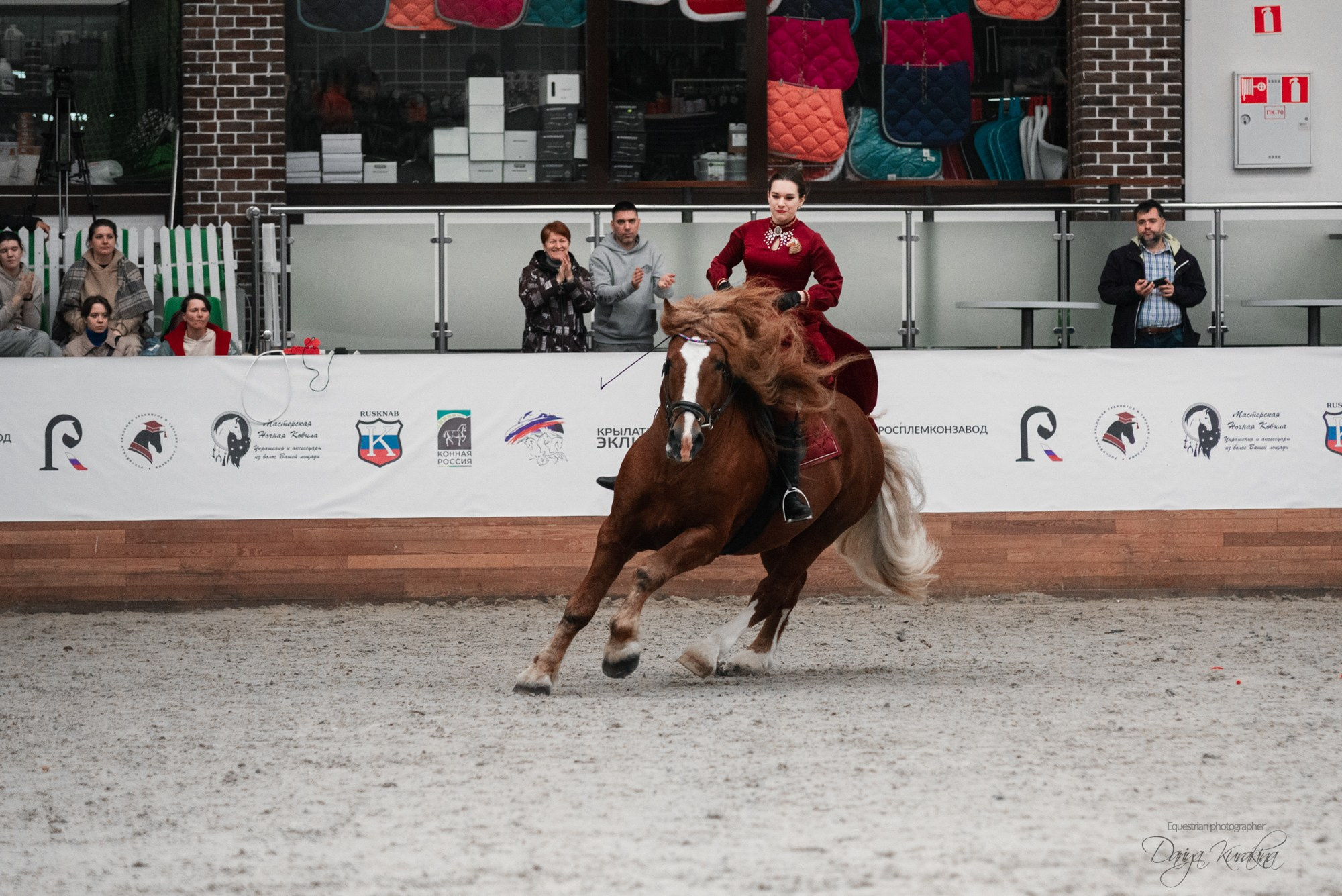 8-я международная выставка Конная Россия. Конный фотограф Куракина Дарья • Фотосессии с лошадьми