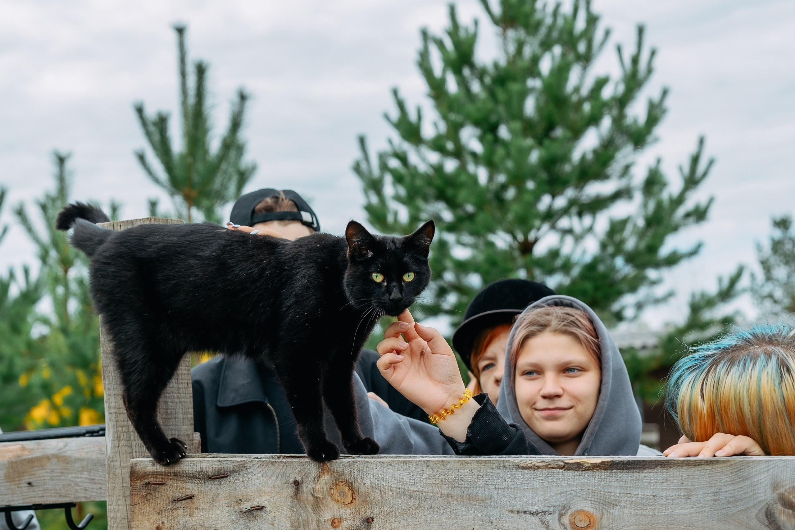 Репортажная съемка. Фотограф Екатерина Головатюк, Железногорск Красноярского края