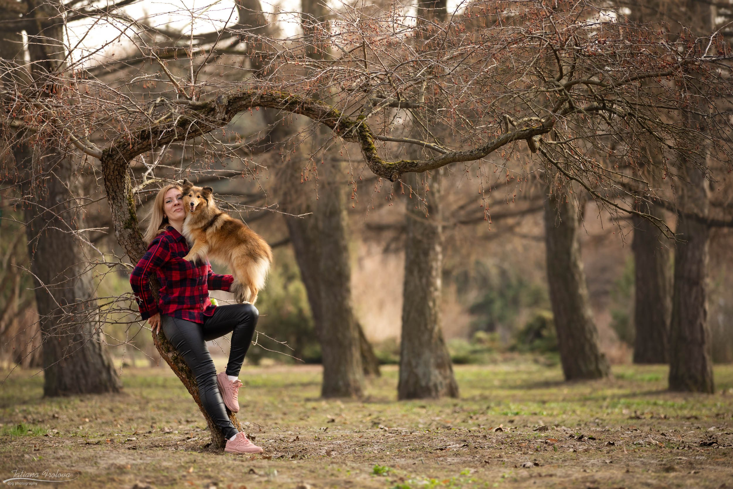 Фотопрогулка для шелти и её хозяйки в Ботаническом саду. Фотограф-анималист в Москве и Московской области Татьяна Фролова