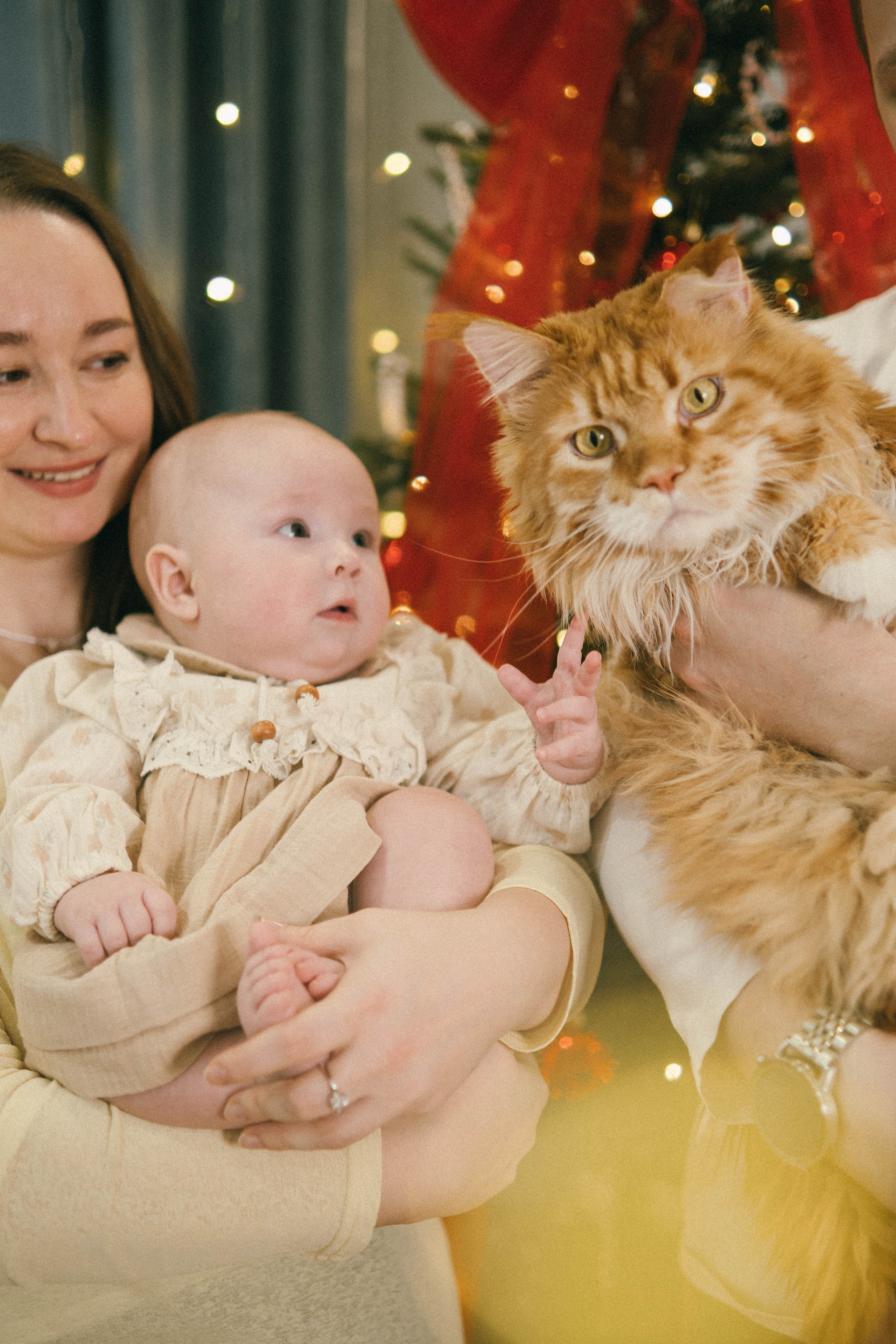 Лера, Артур и Машенька (Новый год 26). Анна Демидова — фотография для жизни и бизнеса в Абакане