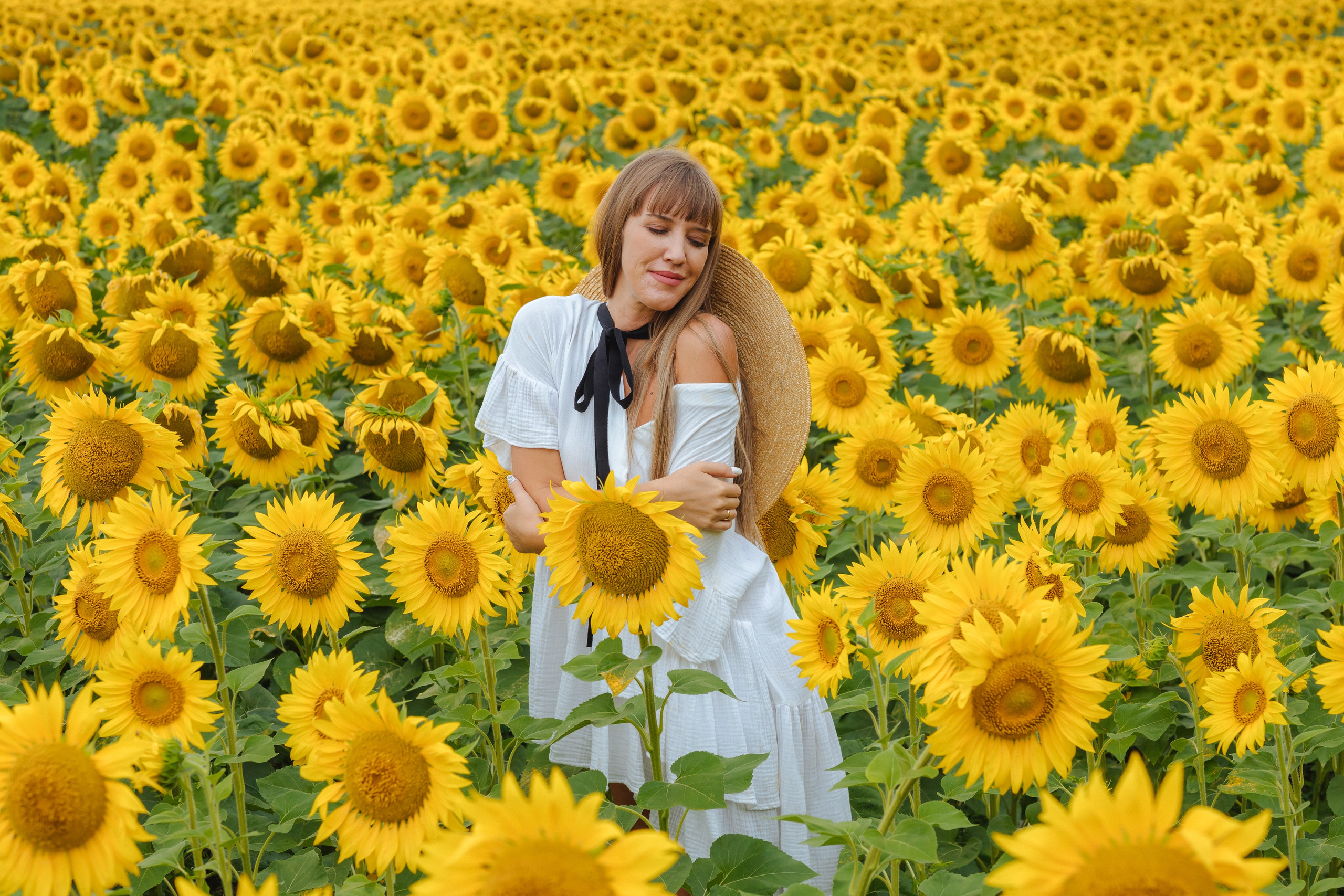 Подсолнухи, Тюмень. Свадебный и семейный фотограф. Фототуры по всему миру