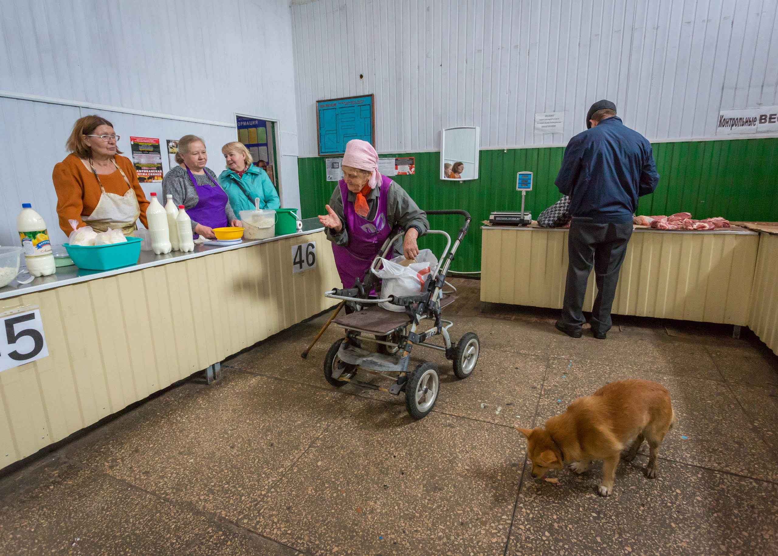 ХВАЛЫНСК: ГОРОД НА ДНЕ МОРЯ. Контакты