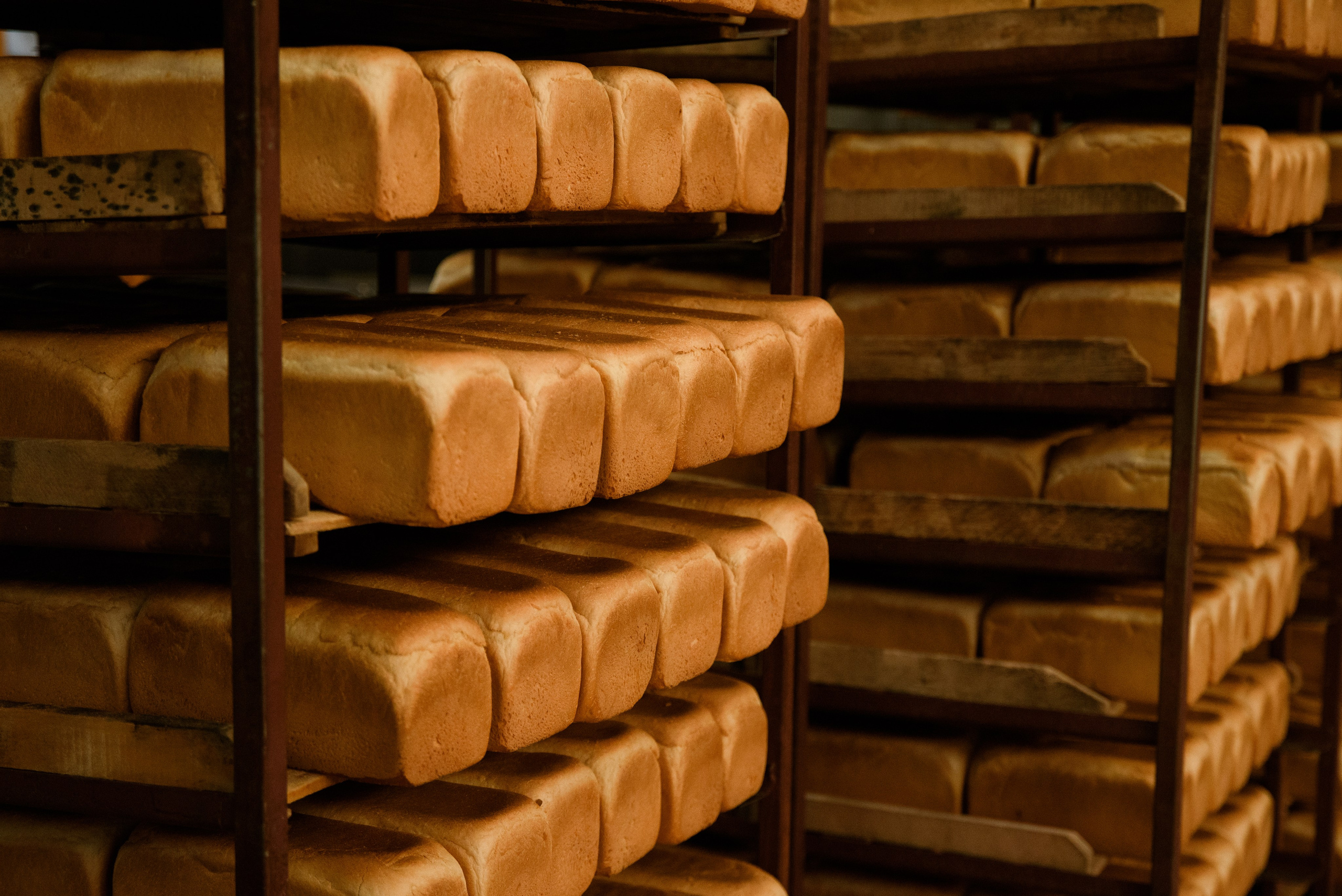 Имиджевая фотосессия для вашего бизнеса. Свадебный, портретный фотограф в Волгограде Ермашова Дарья