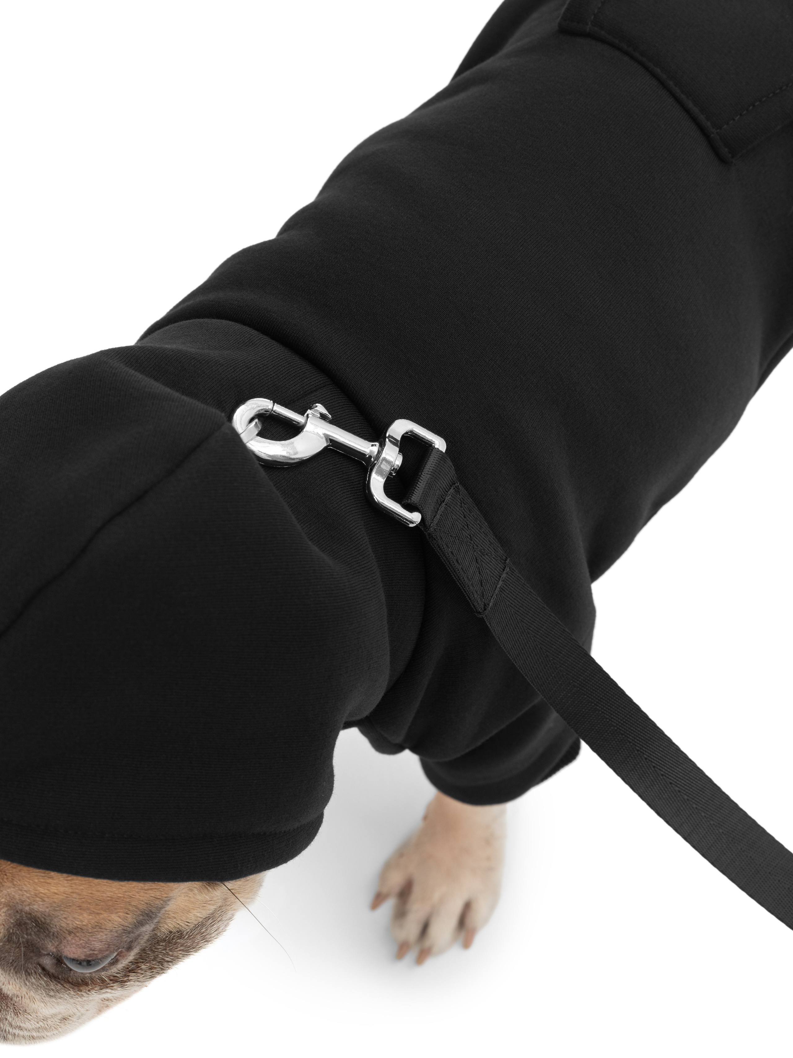 Одежда для собак Pet Subject. Олег Дмитриев