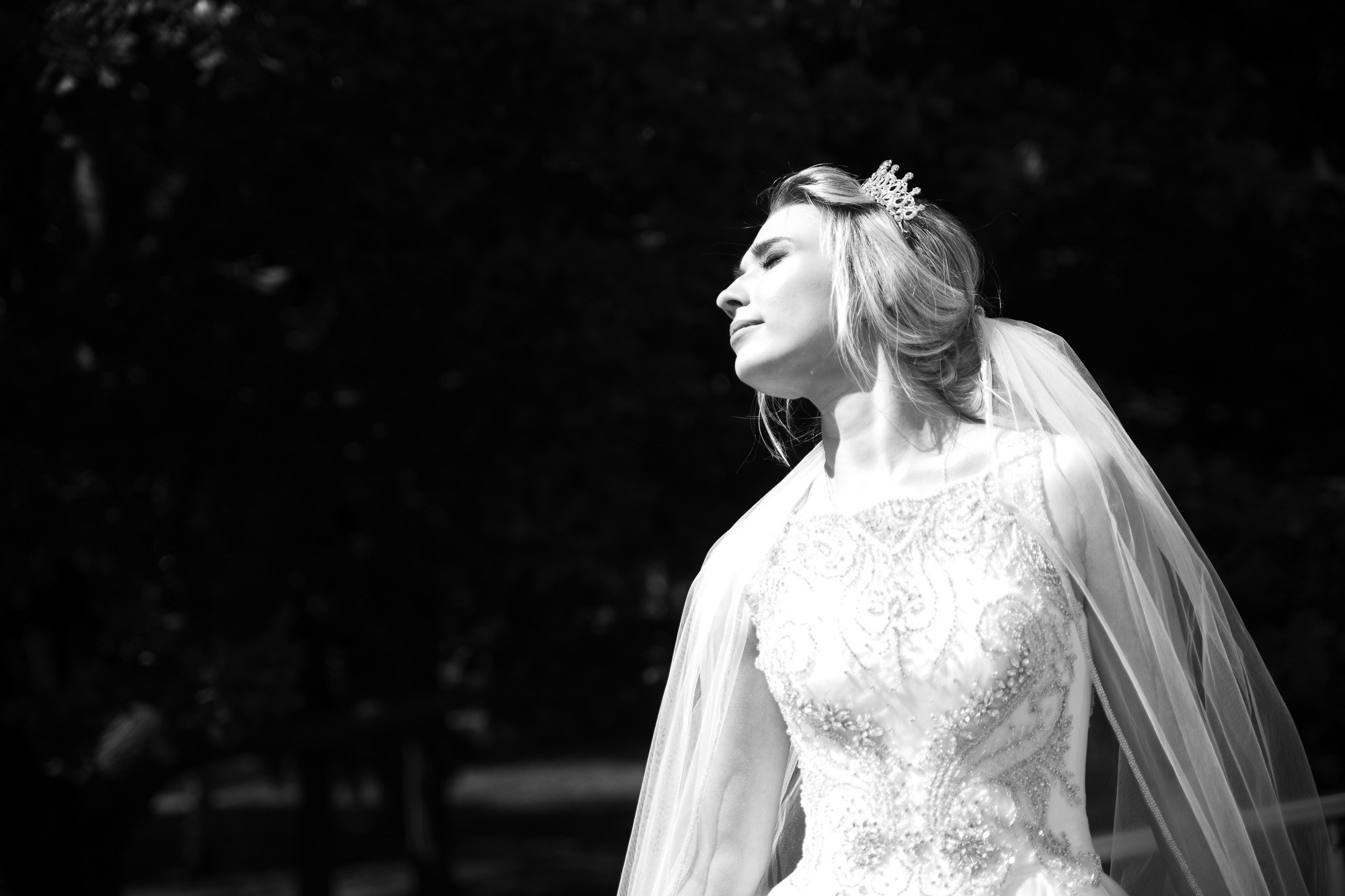 Свадьбы. Фотоателье и полиграфия | Красивые фотосессии, сувениры с фото | Ремонт смартфонов, ноутбуков и техники в Коломне Zinovyev Team