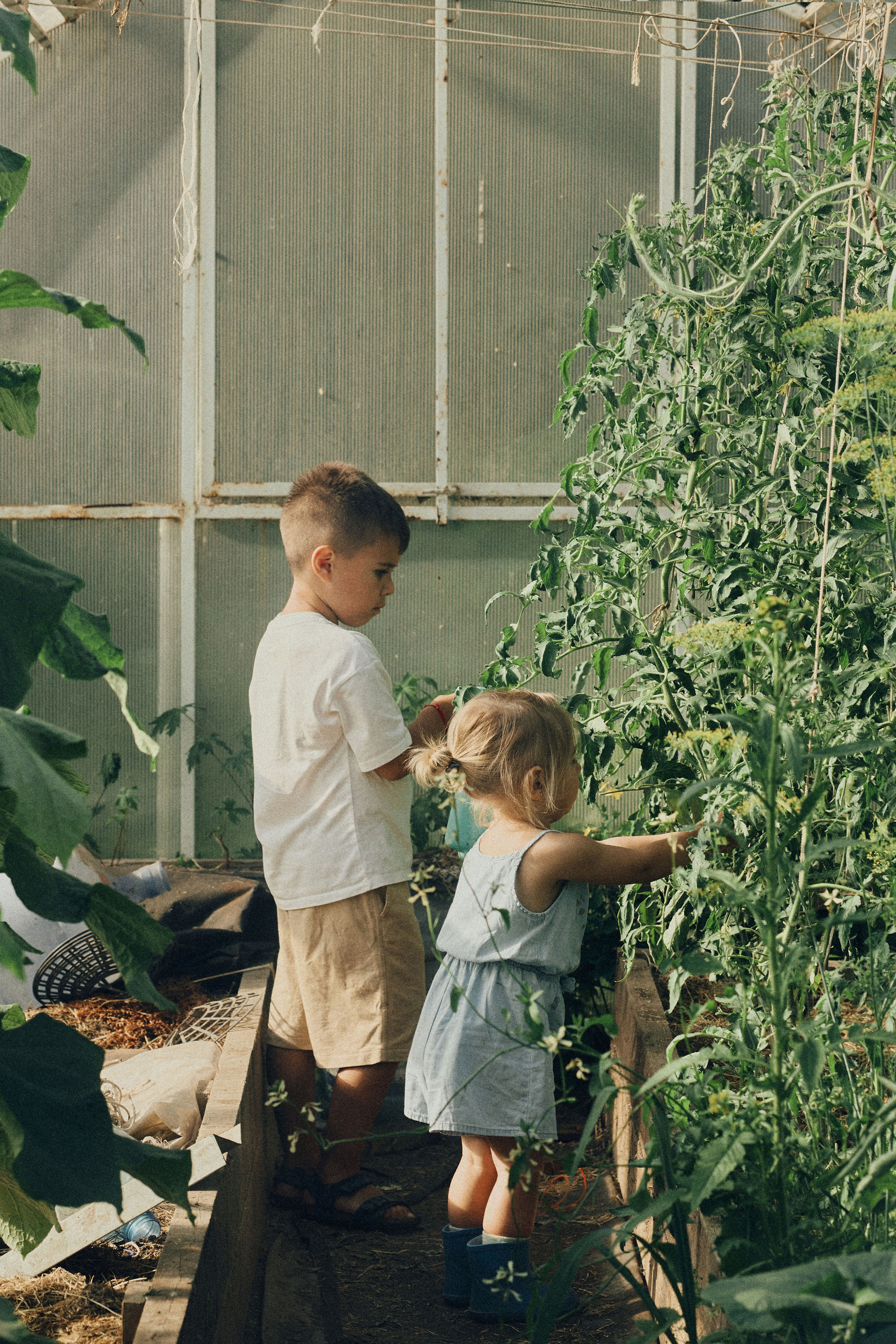 Портфолио. Edomaphoto.ru