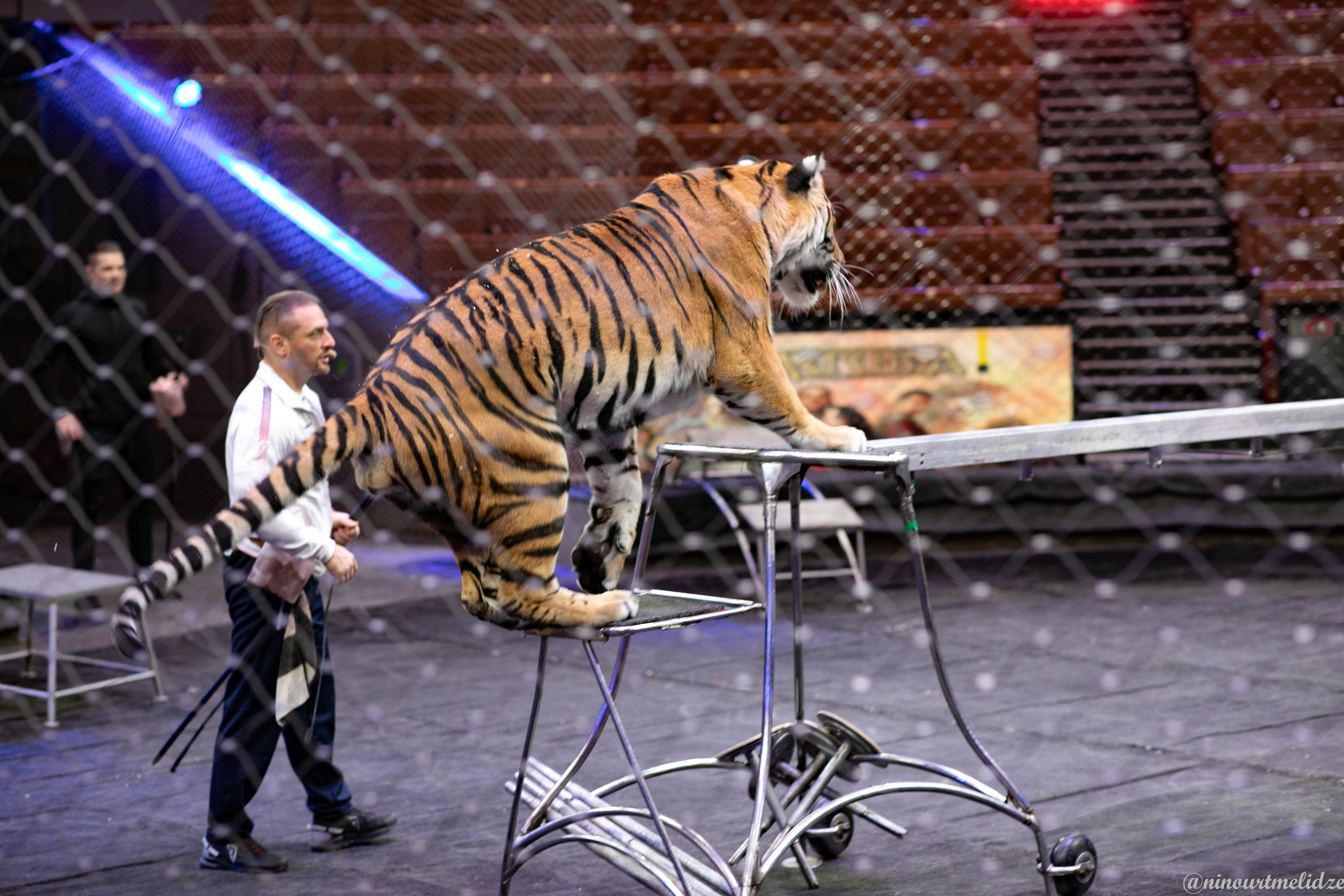 В закулисье у братьев Запашных. Art photographer Nino