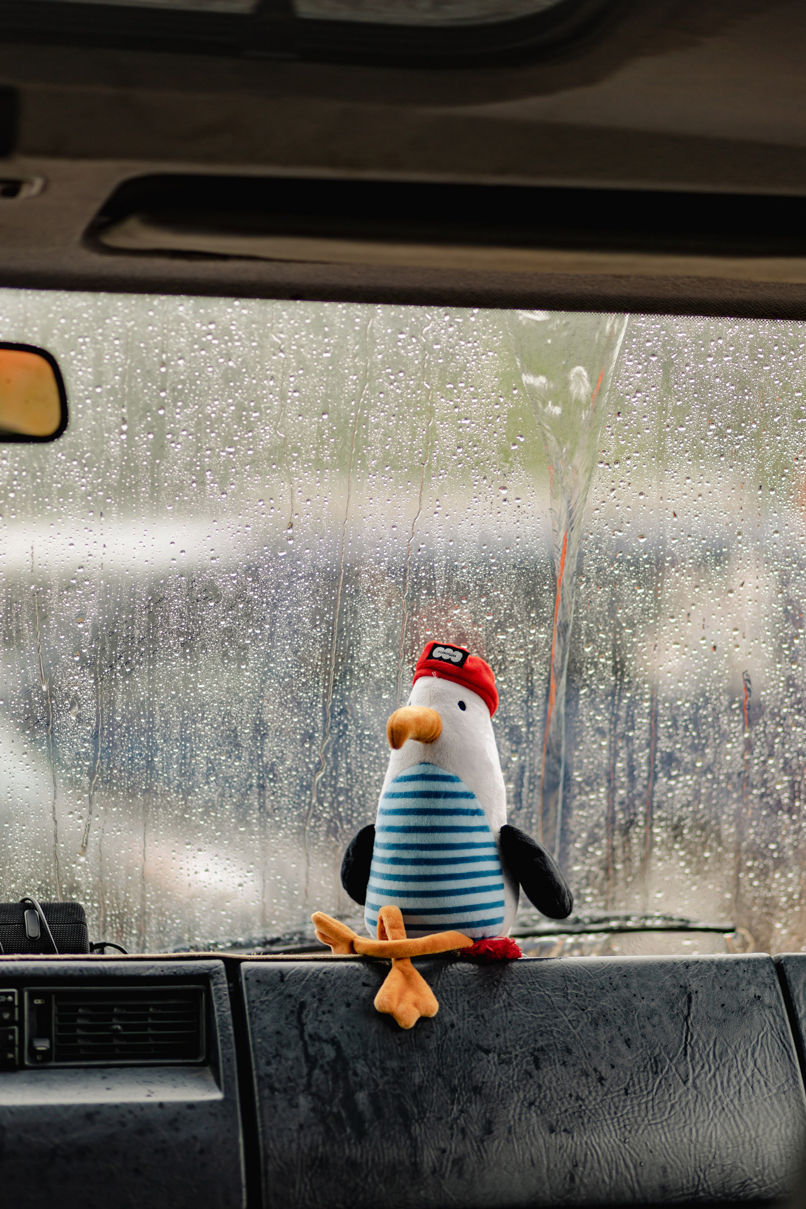 Фестиваль Hello Camper 2024 открытие. Репортажный и портретный фотограф в Санктпетербурге. Видиосъемка мероприятий в Санкт-Петербурге