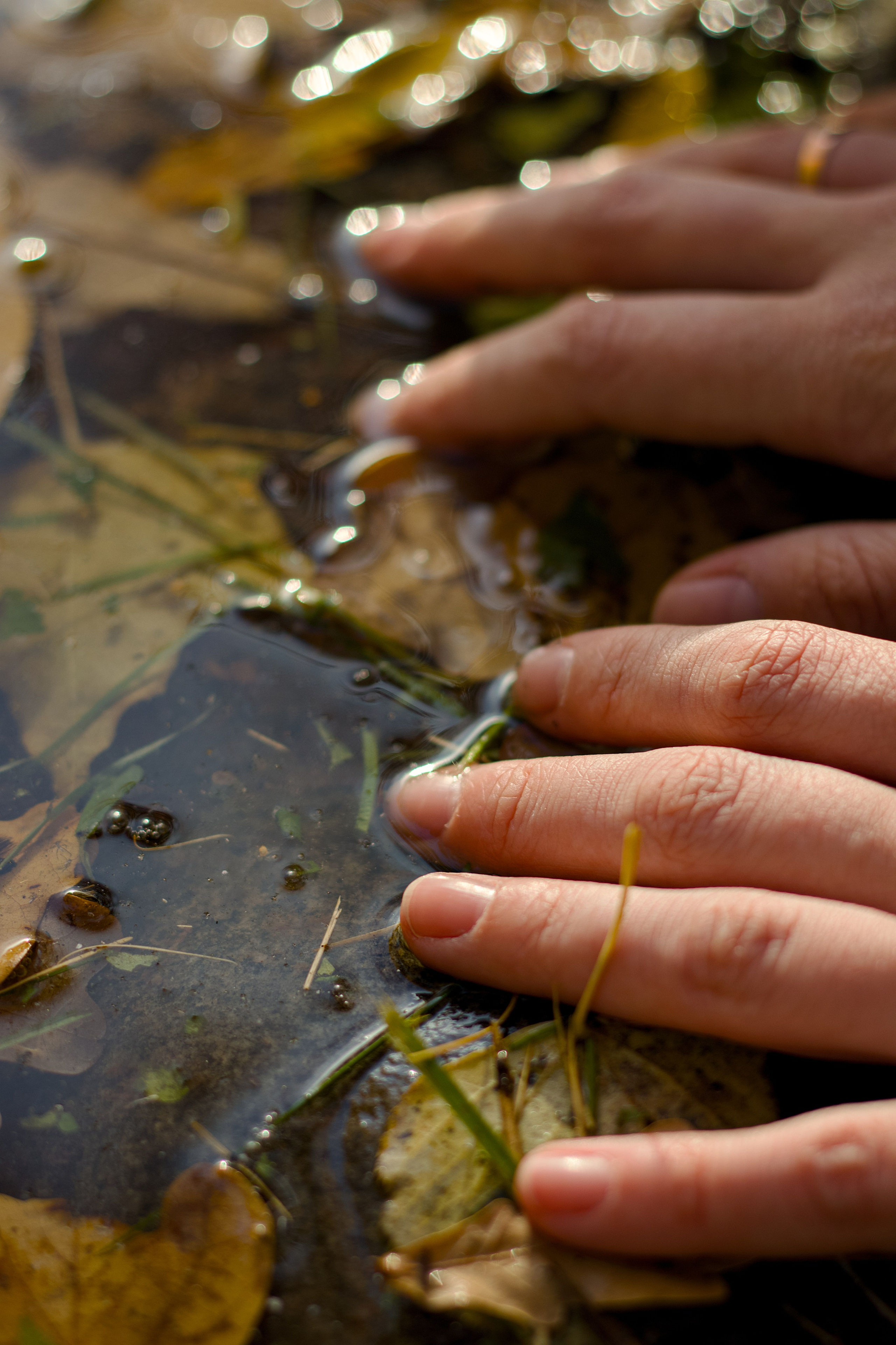 Олеся. Фотосессия в Таврическом саду. Фотограф в Санкт-Петербурге и в Москве Яшина Алина