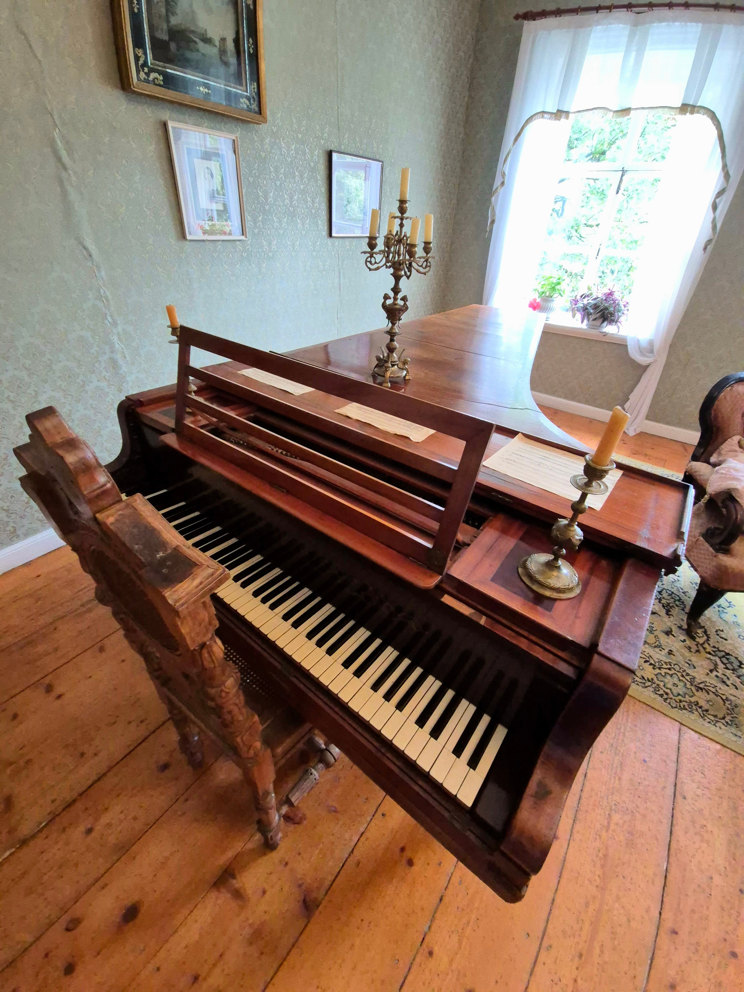 Первая половина дня отводилась музыкальным занятиям, – Глинка сочинял музыку или играл на рояле.