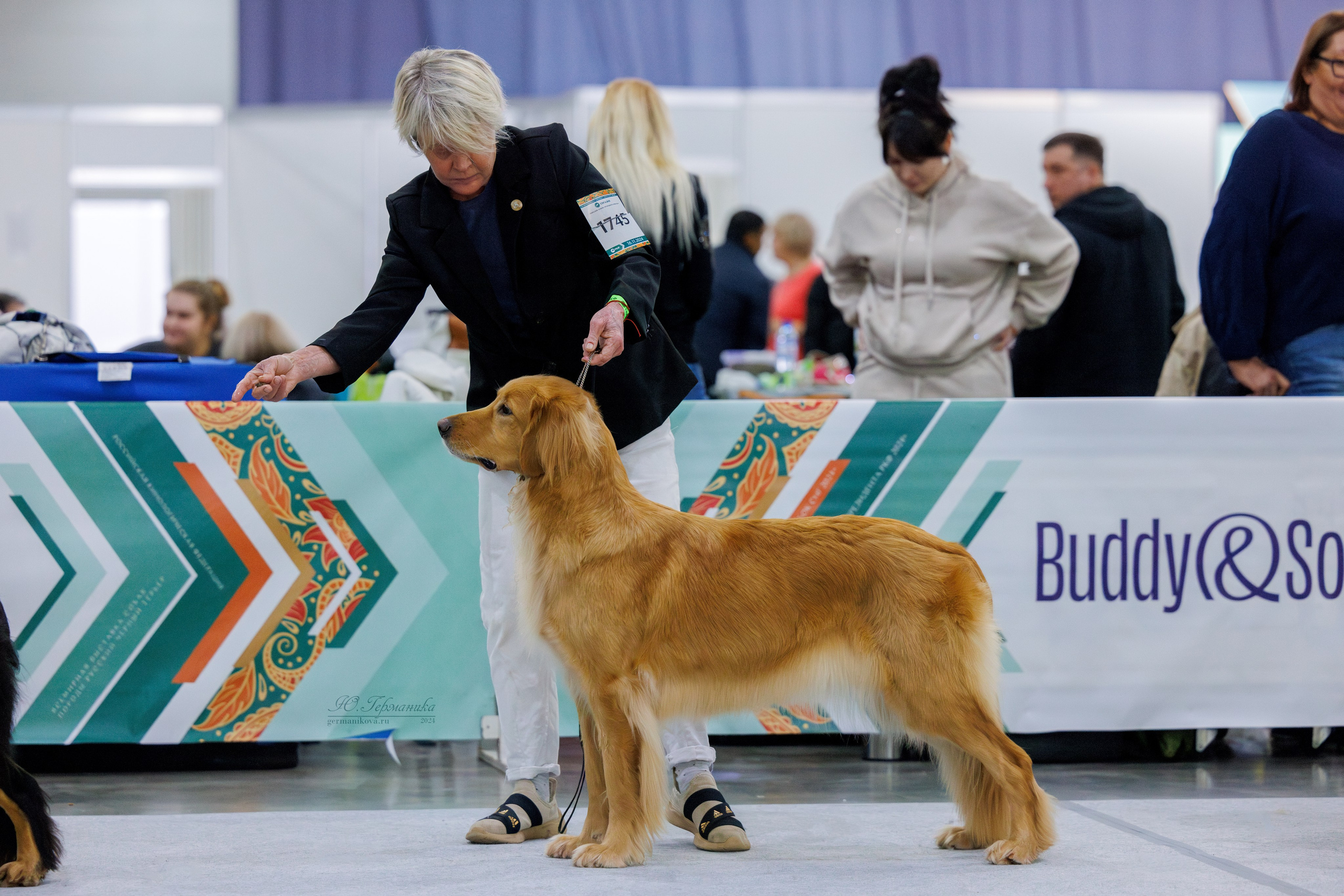 Евразия 16-17.11.2024. Фотограф-анималист Юлия Германика