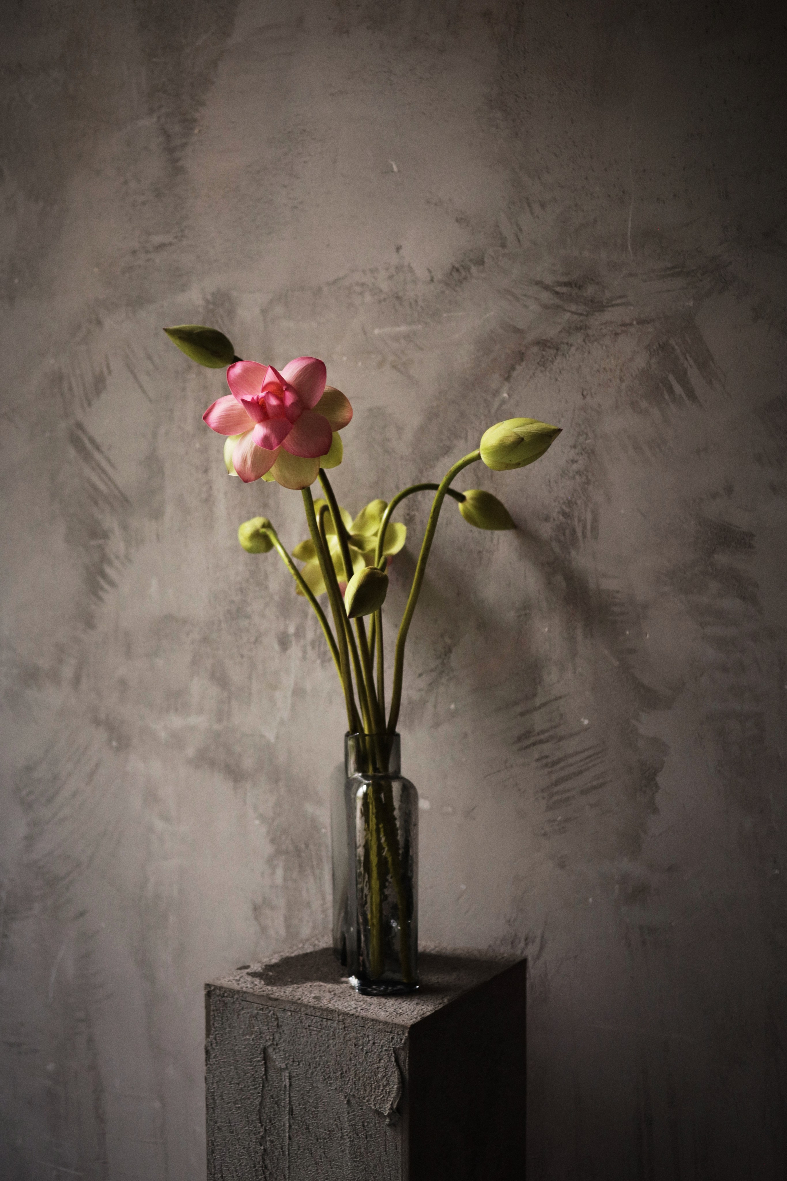 Flowers. Виктория Калугина — фотограф и видеомейкер в Москве