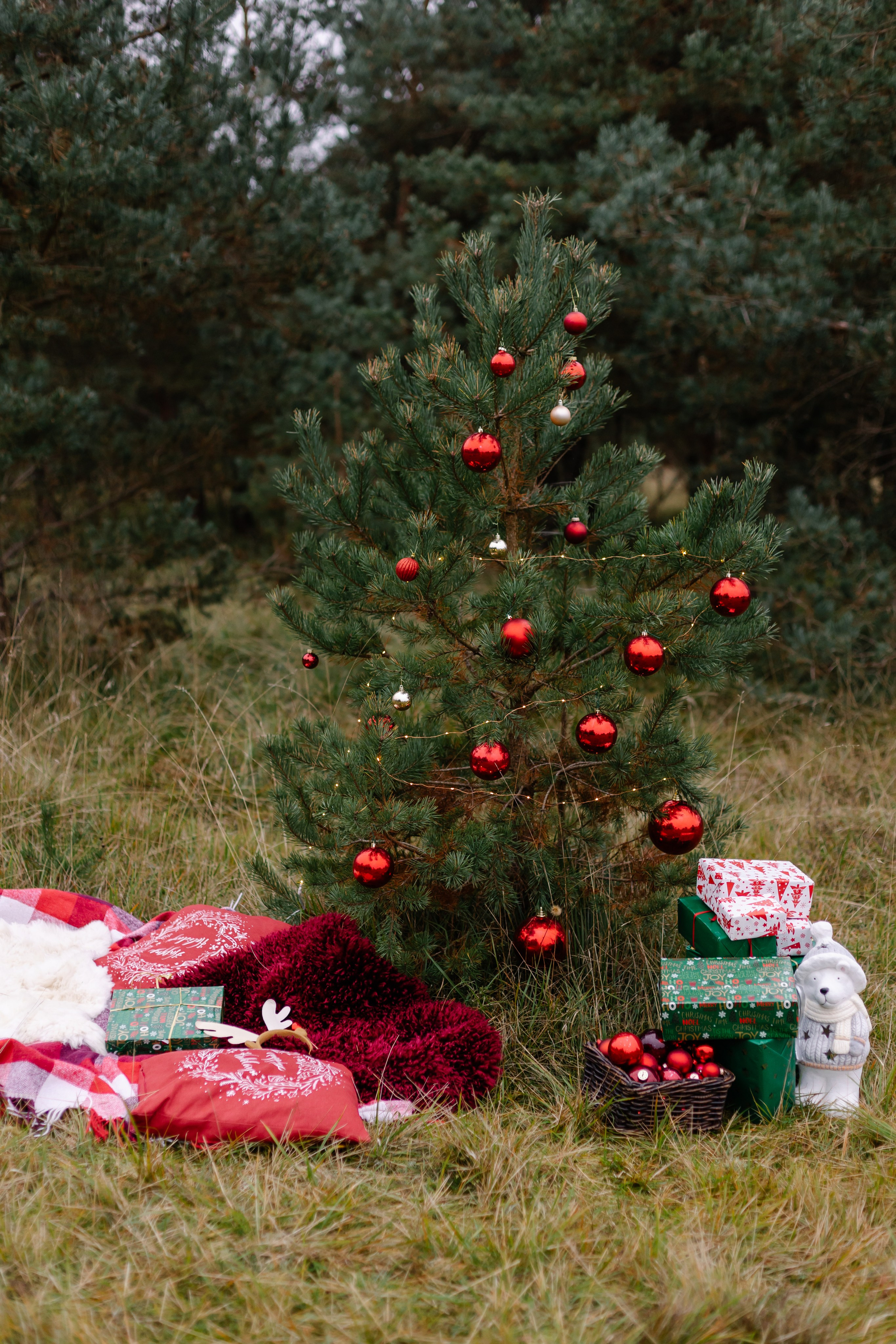 Weihnachtsminis 2024 München. Семейный фотограф в Мюнхене Даша Антипина