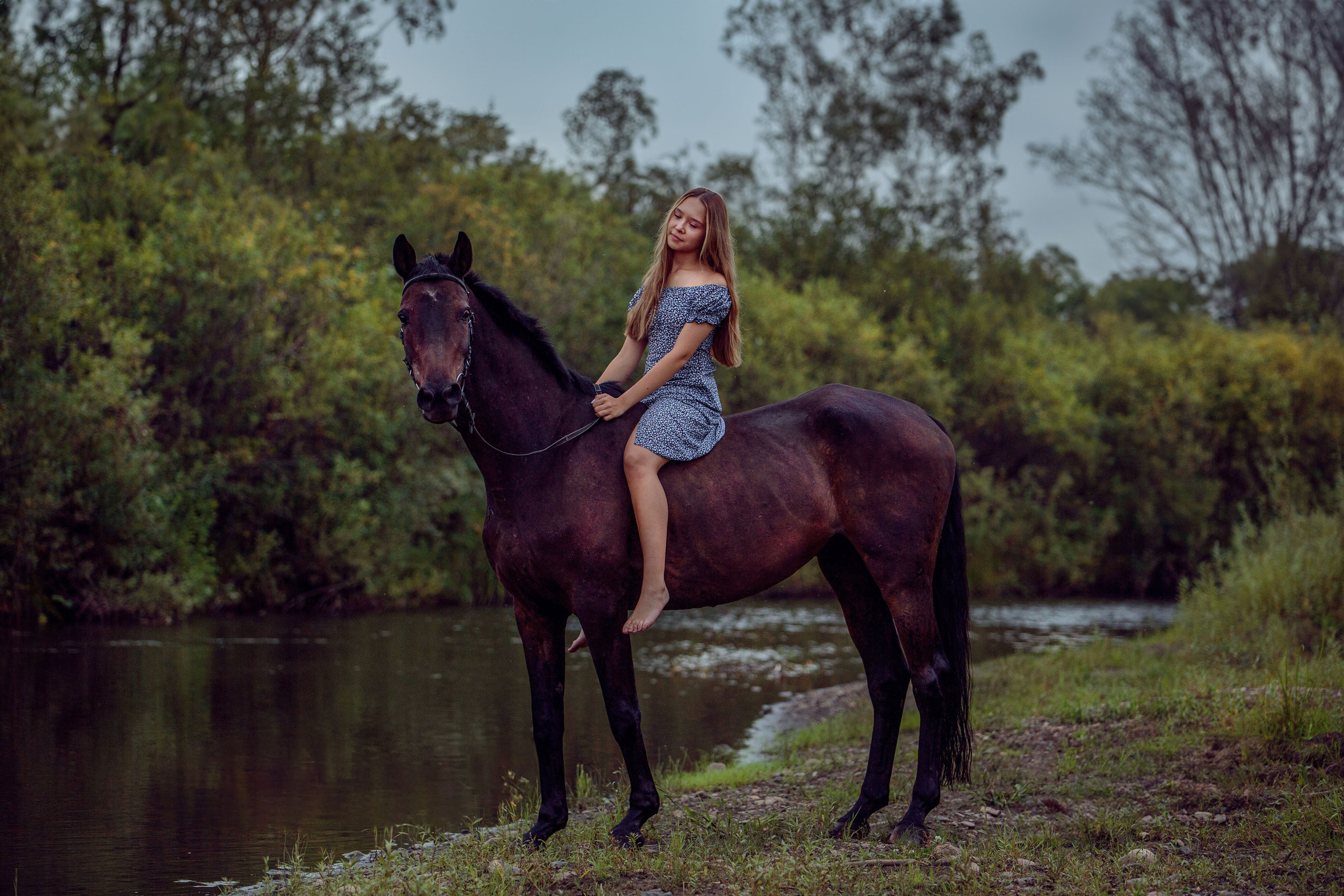 Конный двор. Конный фотограф в Красноярске — Любовь Похабова
