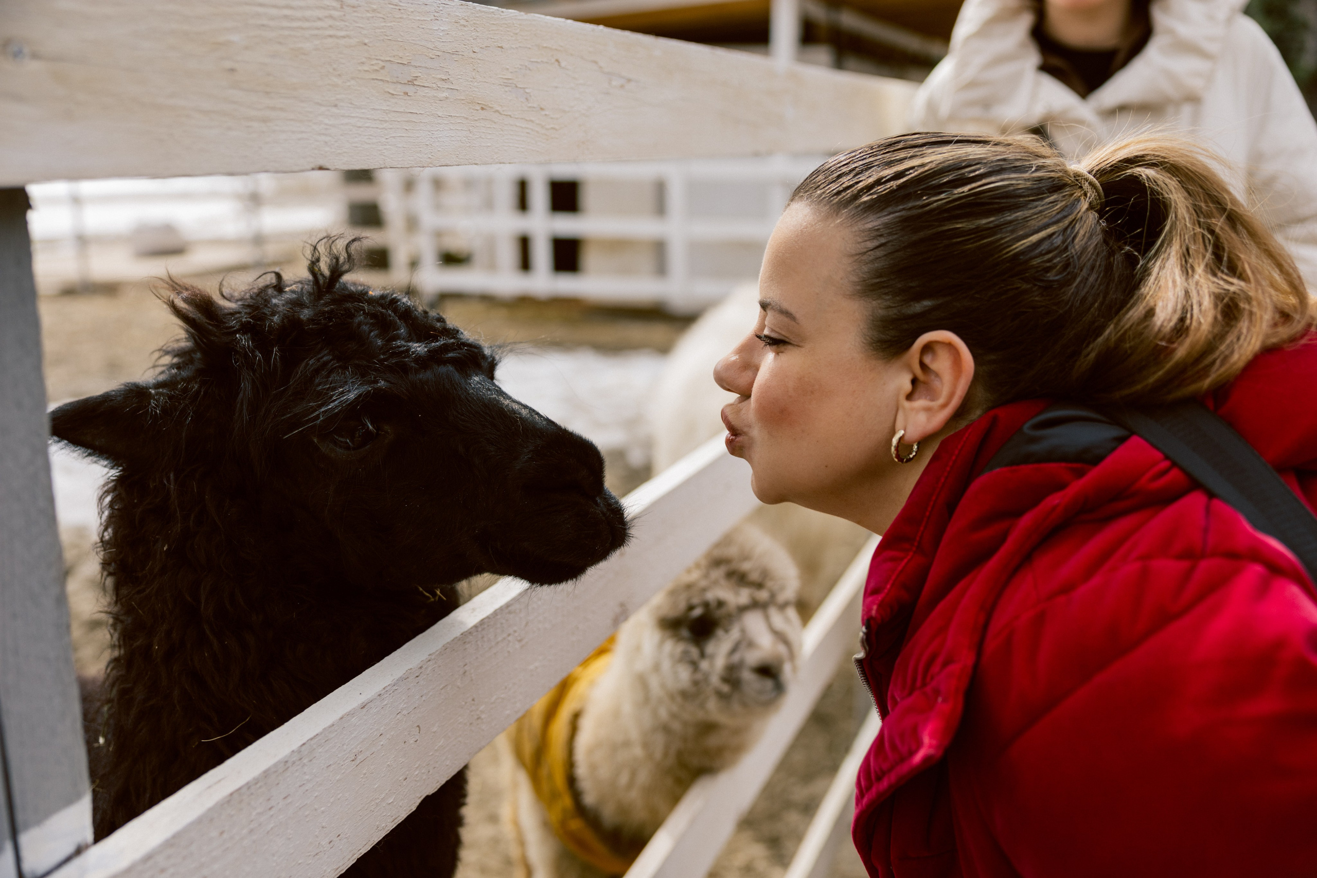 Тур, Архыз. Фотограф Эдуарда Титанян