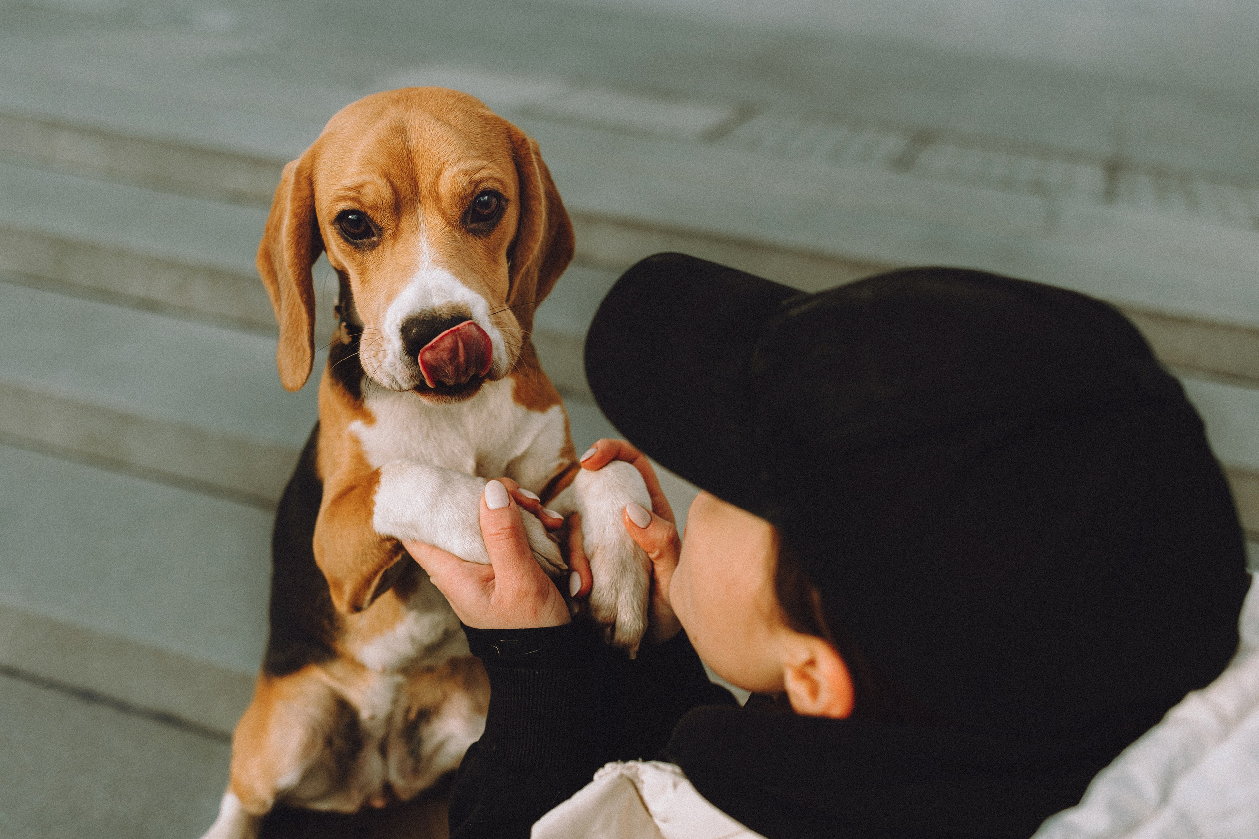 Ксюша и Мэгги