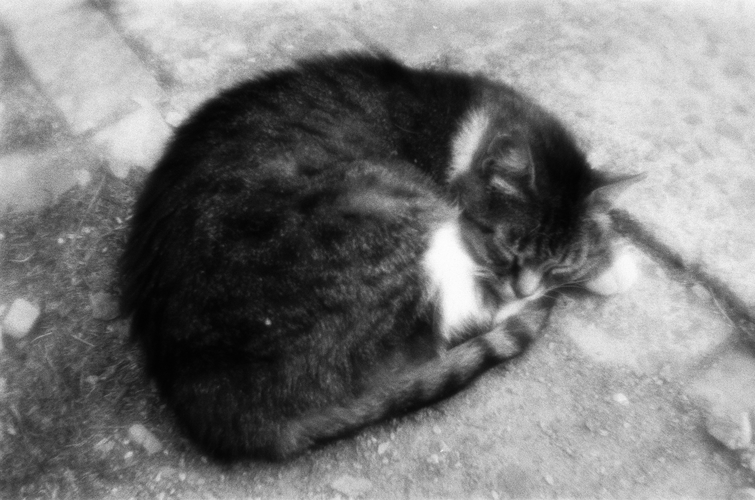 Oblomki chuvstv // ukraine, crimea VI. EVER EXPOSED