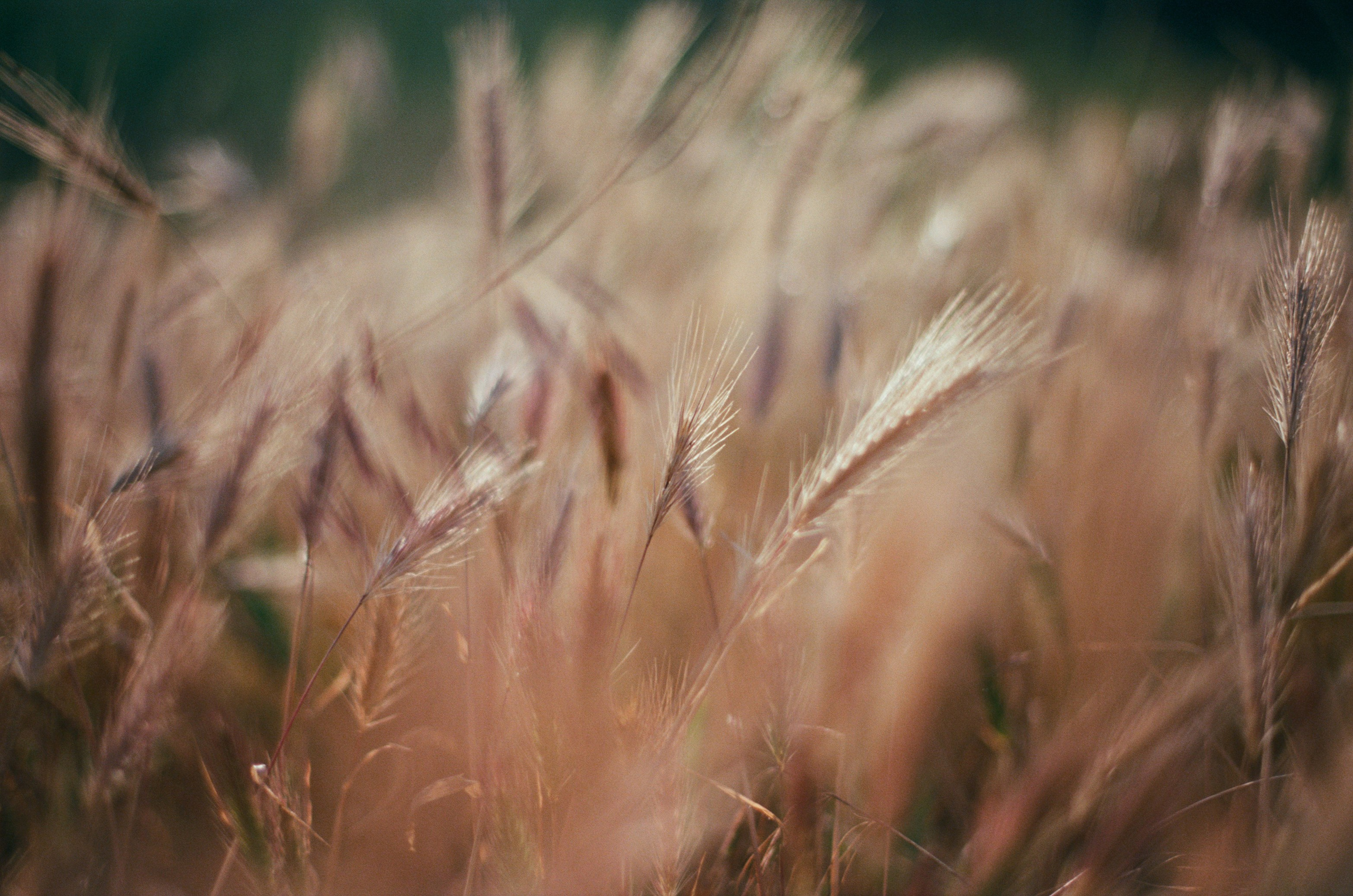 This time // ukraine, crimea IV. EVER EXPOSED