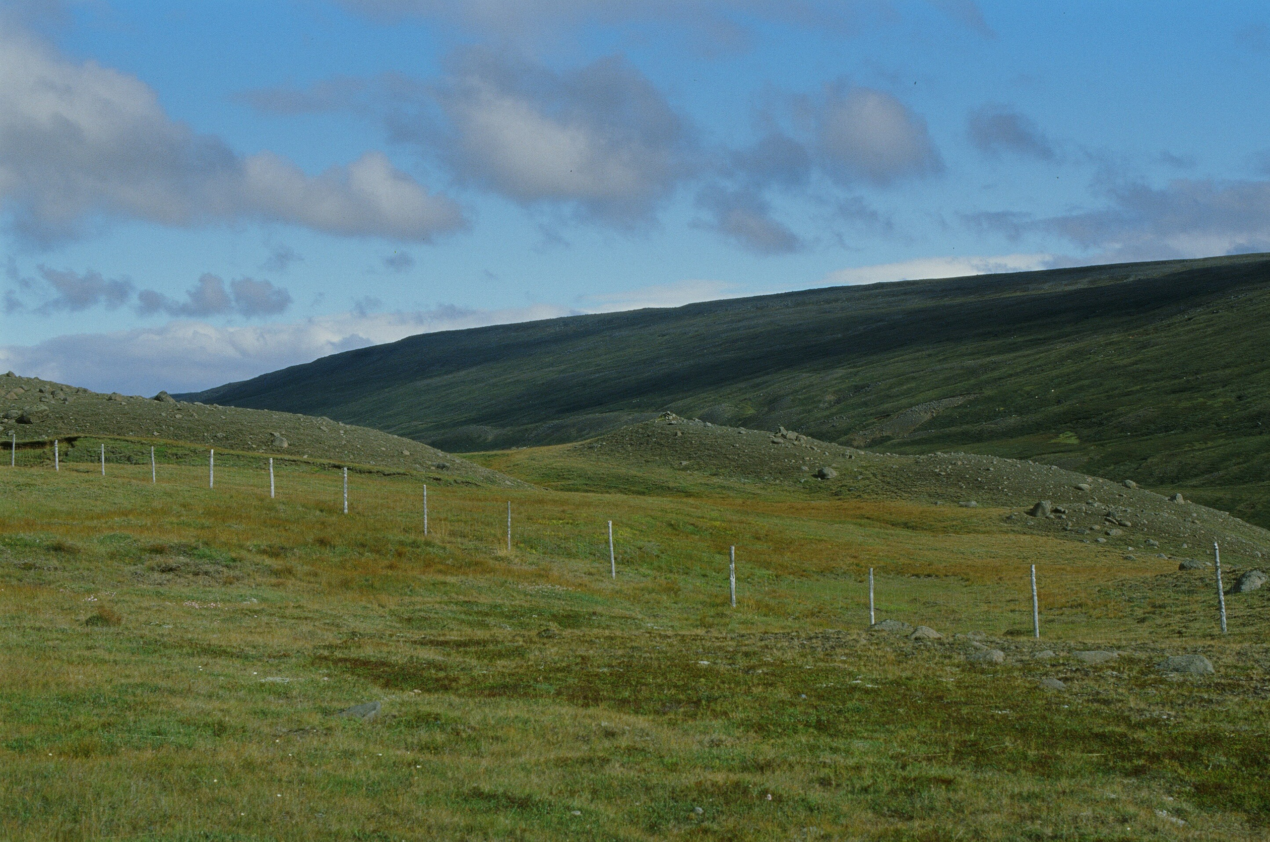 Vor i vaglaskogi // iceland, austurleið. EVER EXPOSED