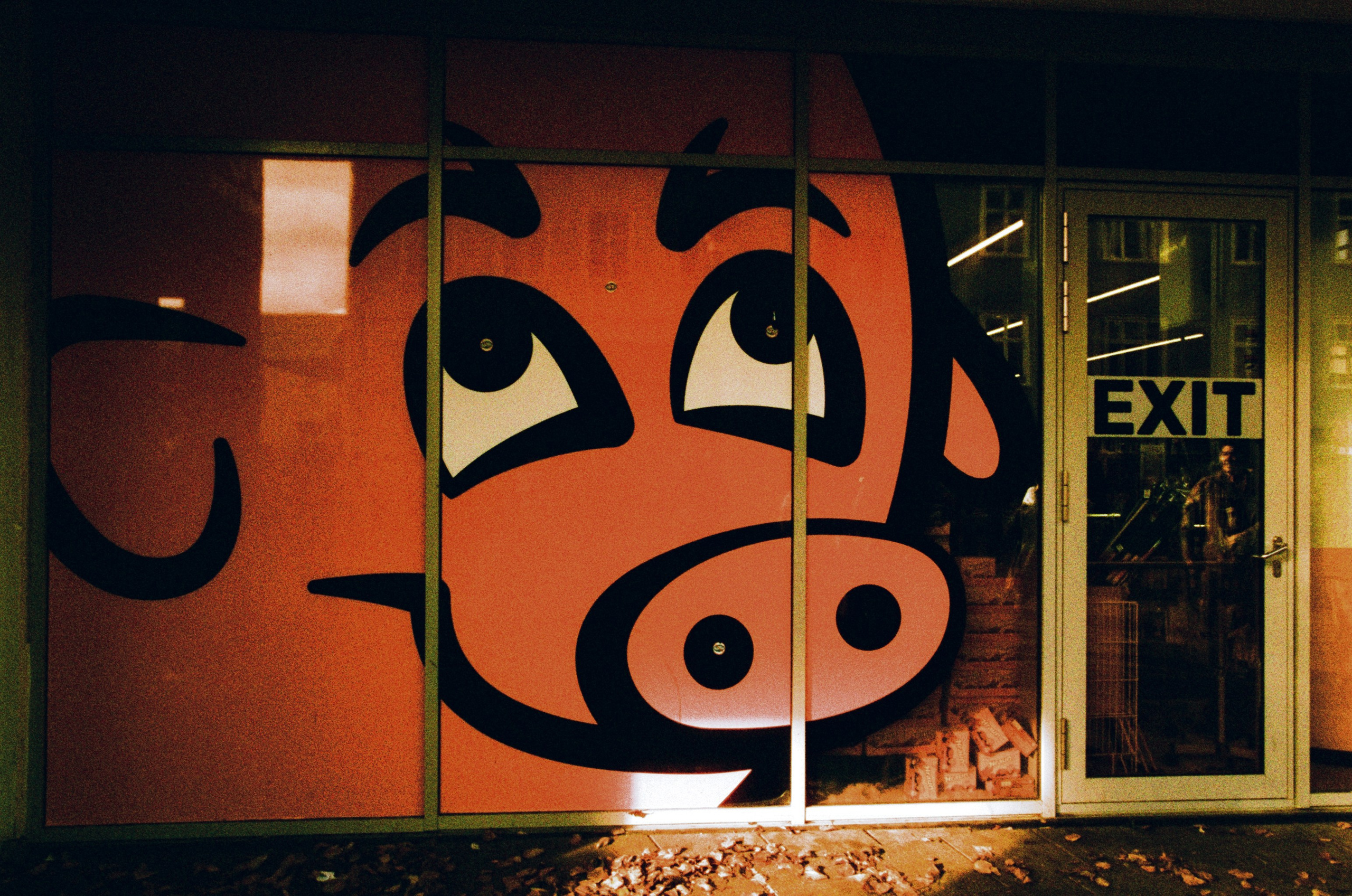 Run no more // iceland, reykjavik II. EVER EXPOSED