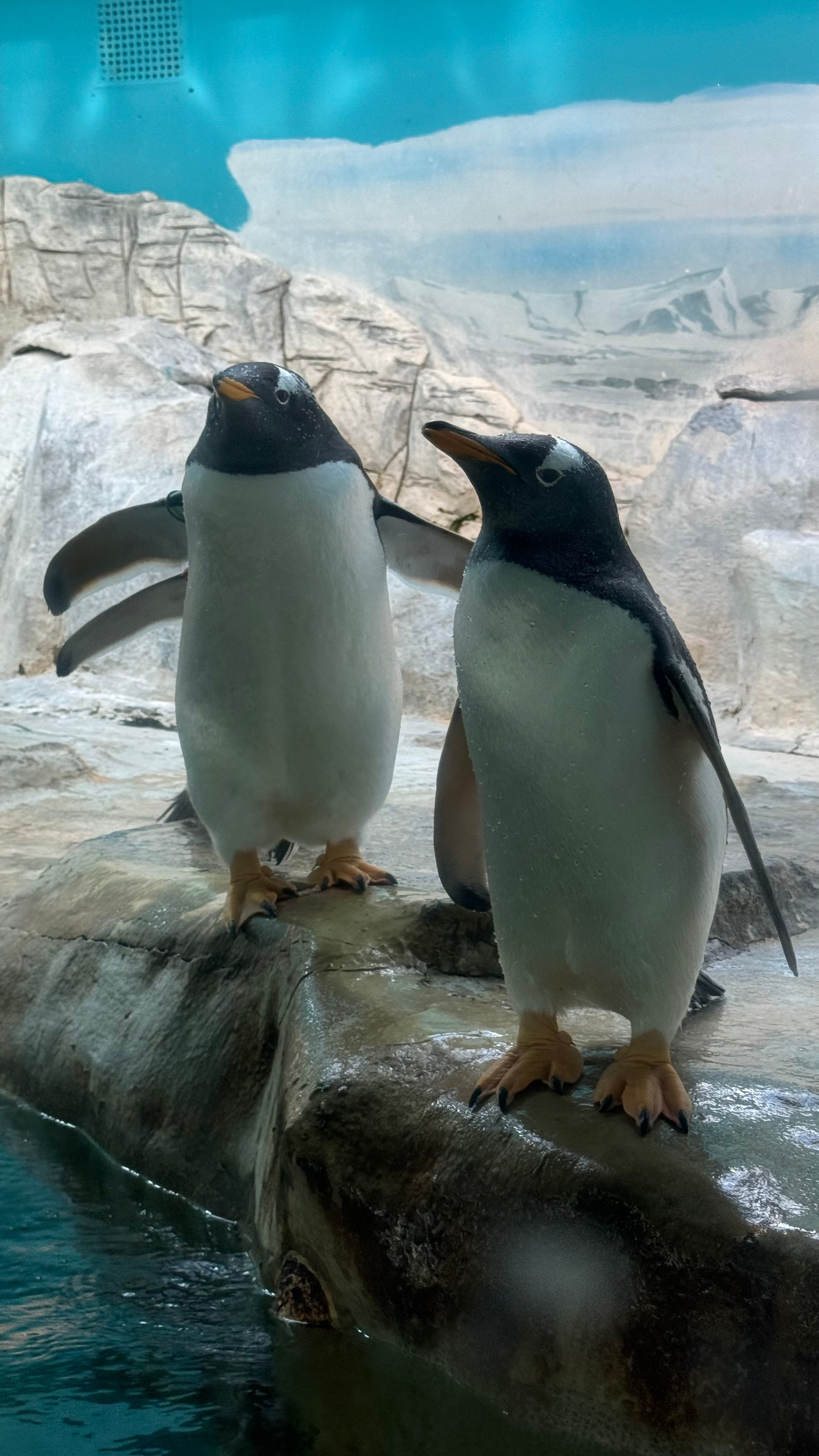 Приглашаем в арт-лагерь в Москве для детей!. Арт-вечеринки и мастер-классы в Москве для взрослых и детей