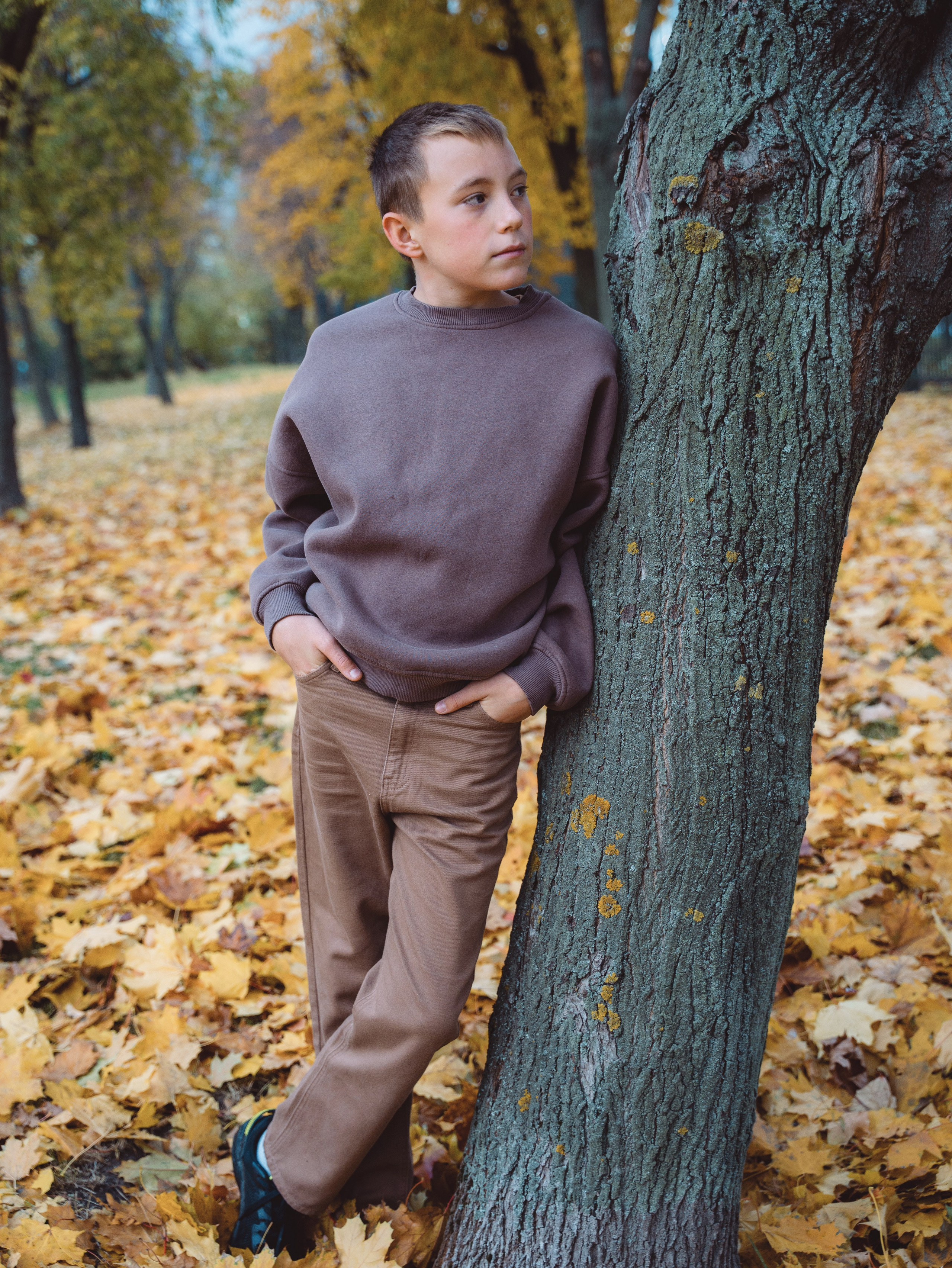 Осень. Https://andreevann.ru