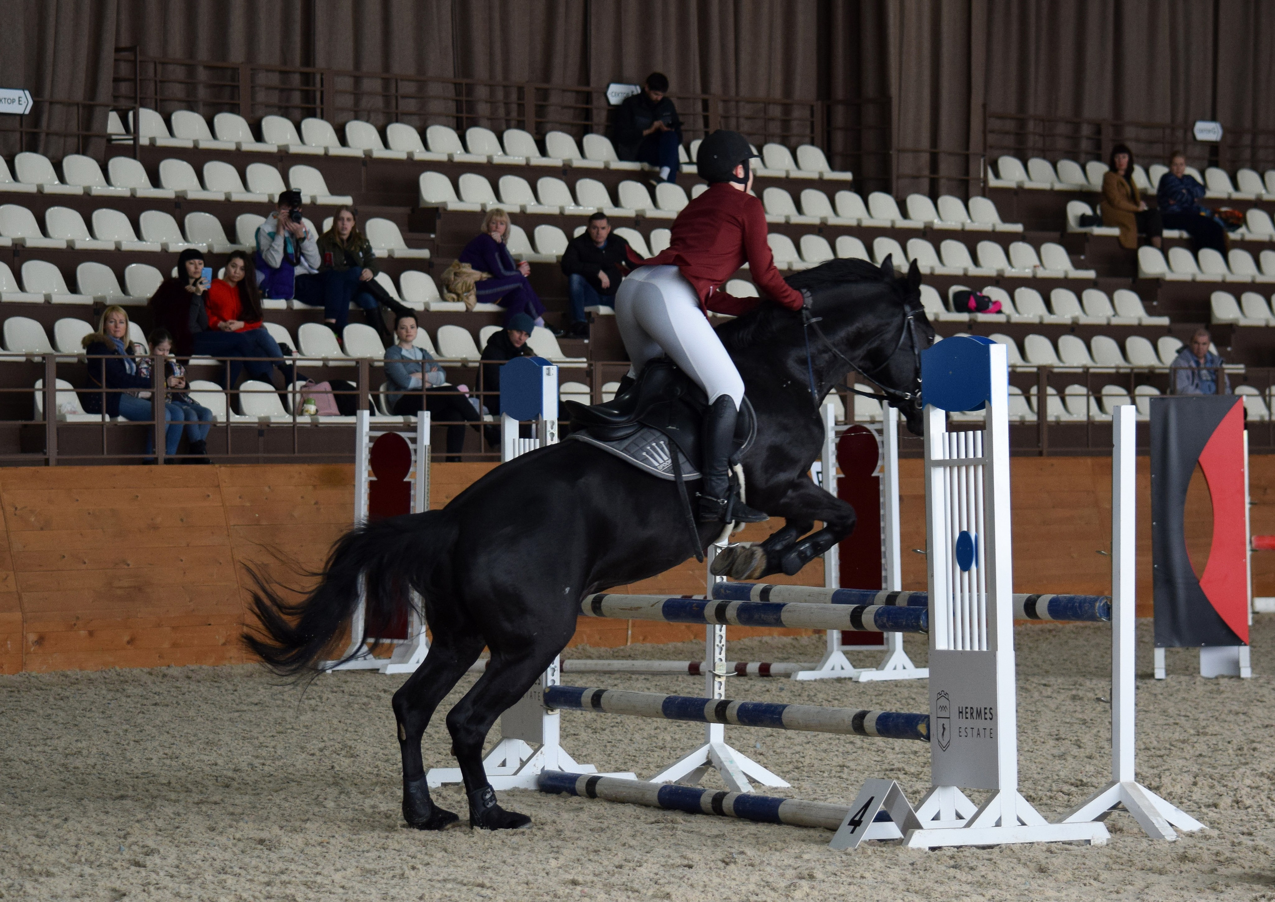 Конкур Гермес. Конный фотограф в Саратове Юлия Иванова