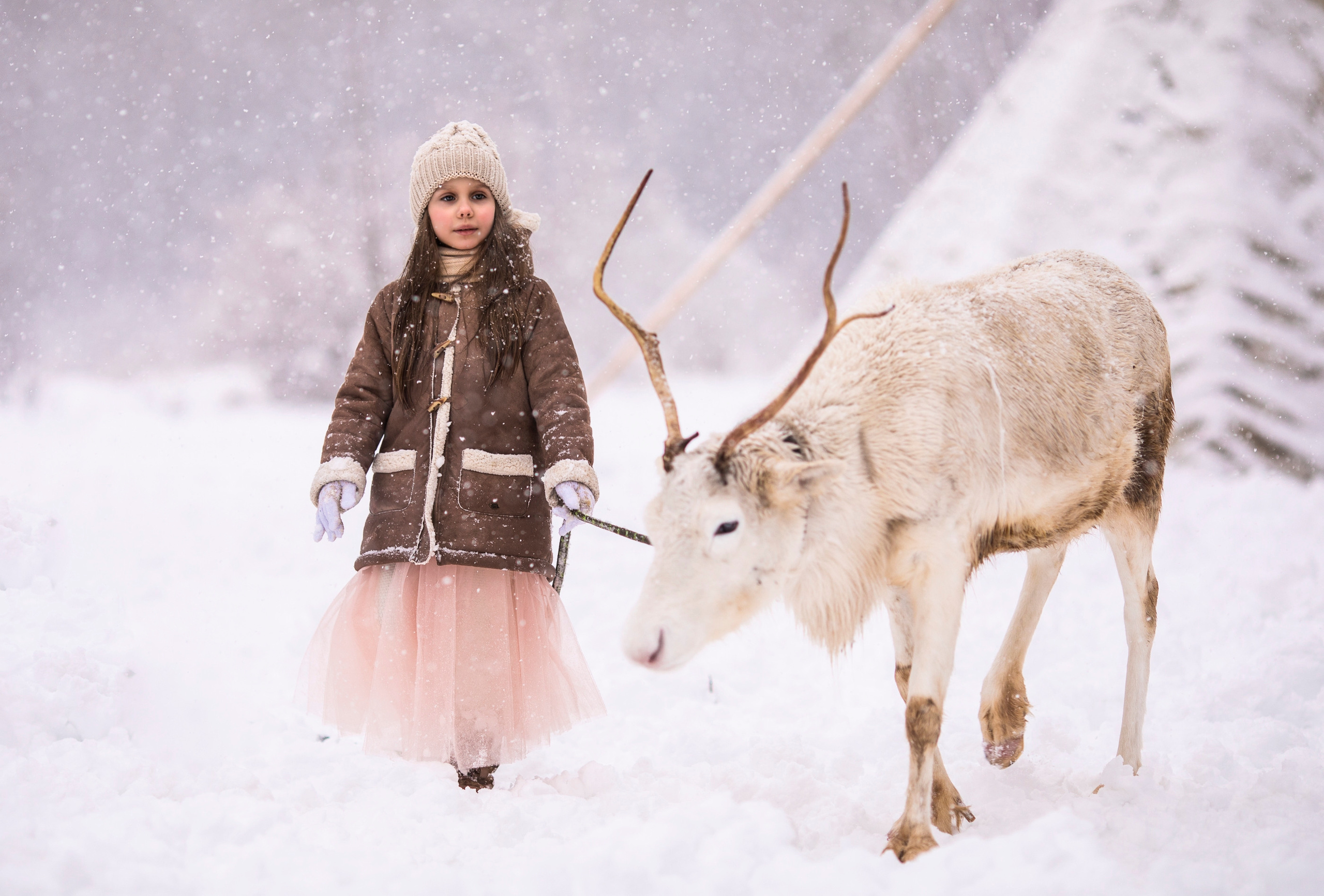 Фото из разных серий. Фотограф Москва Семейные фотосессии Детские фотосессии