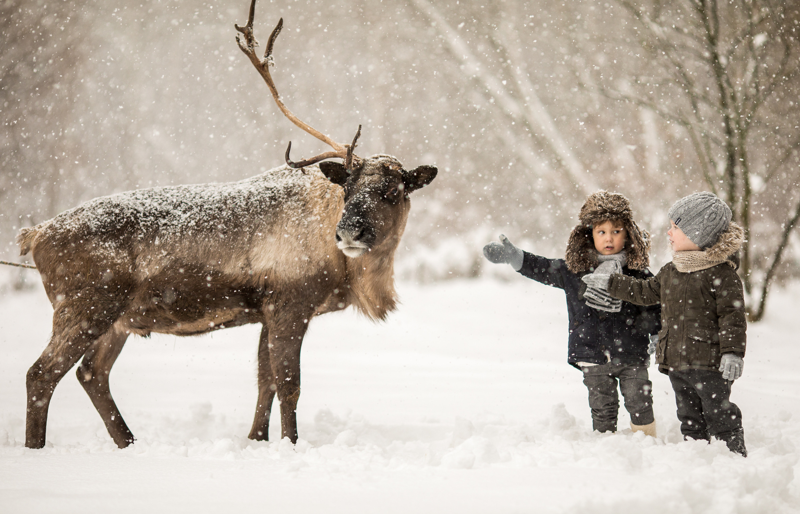 Фото из разных серий. Фотограф Москва Семейные фотосессии Детские фотосессии