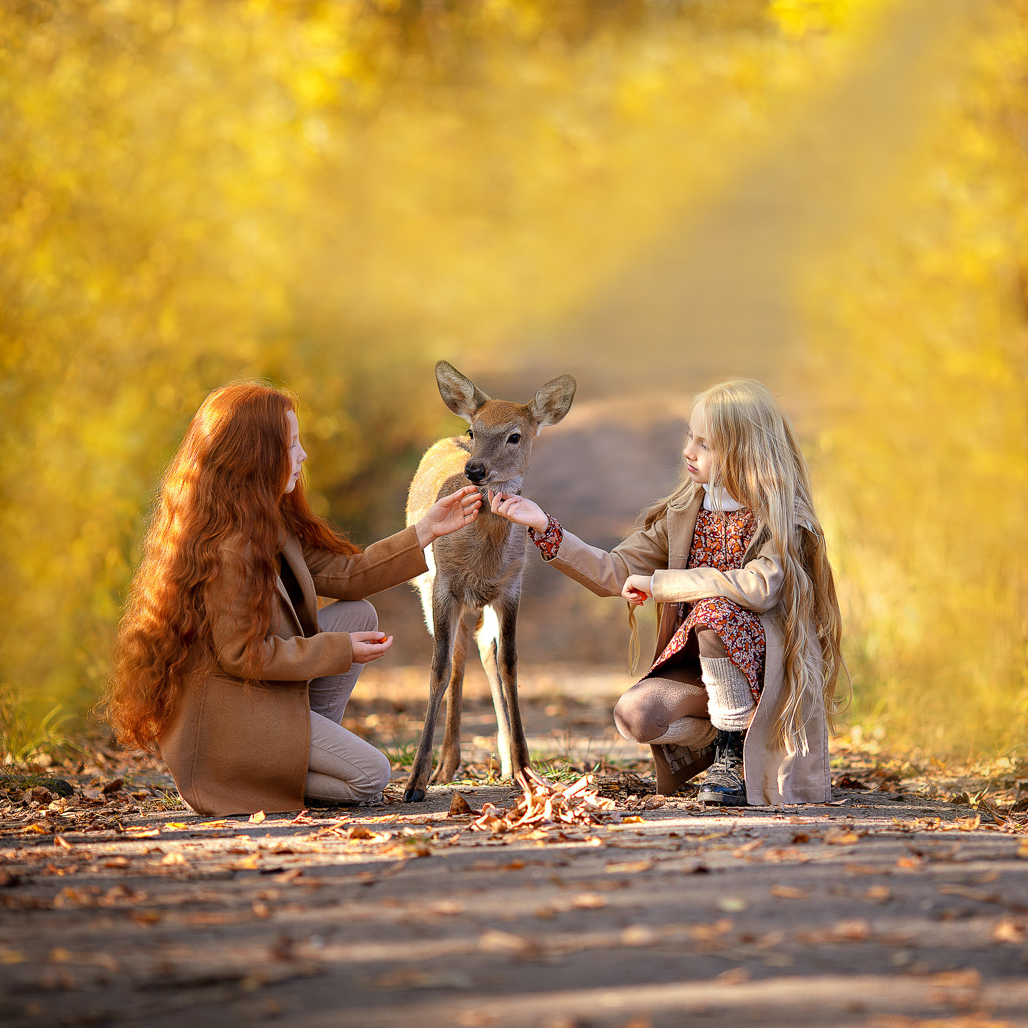 Фото из разных серий. Фотограф Москва Семейные фотосессии Детские фотосессии