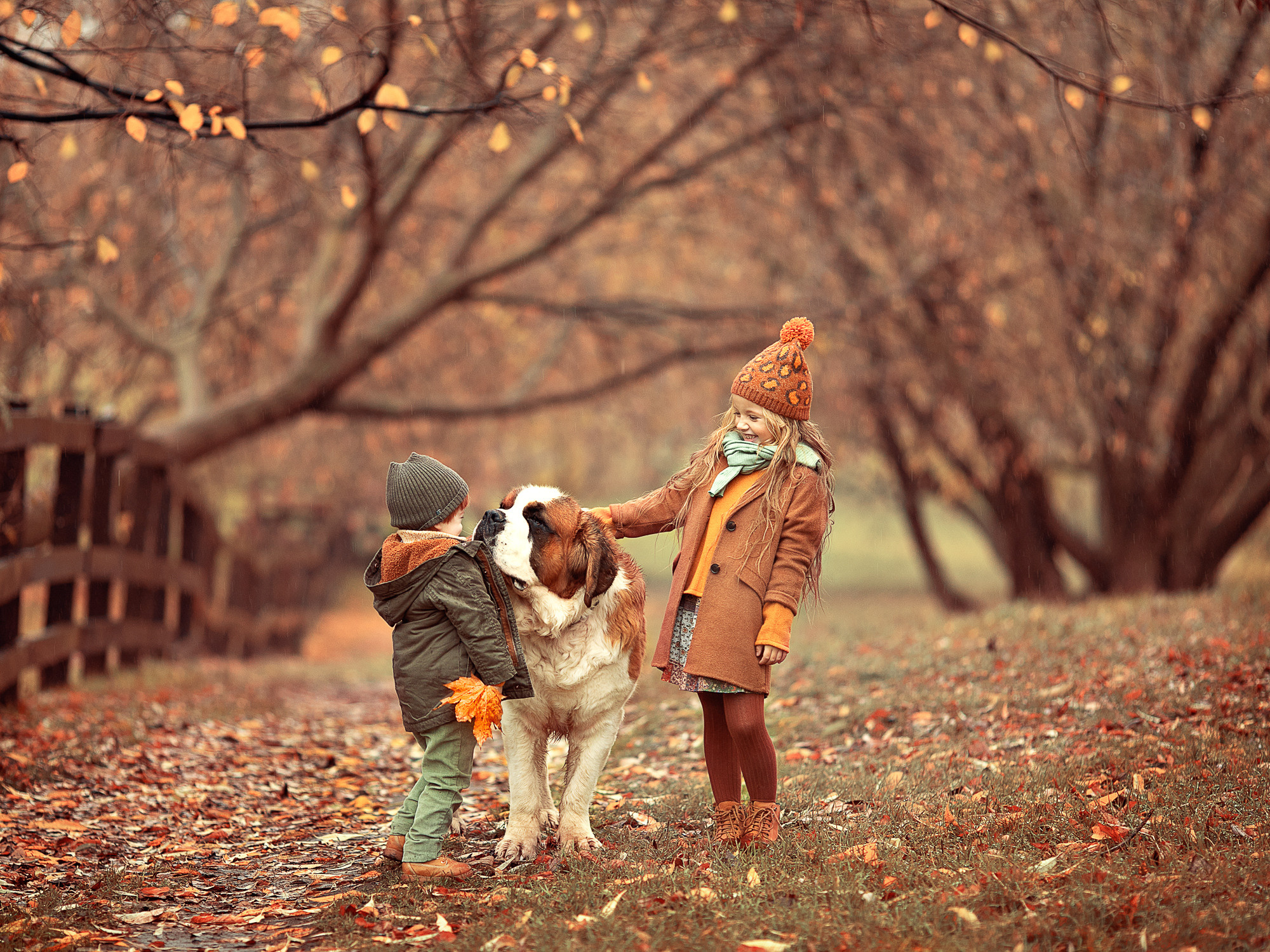 Фото из разных серий. Фотограф Москва Семейные фотосессии Детские фотосессии