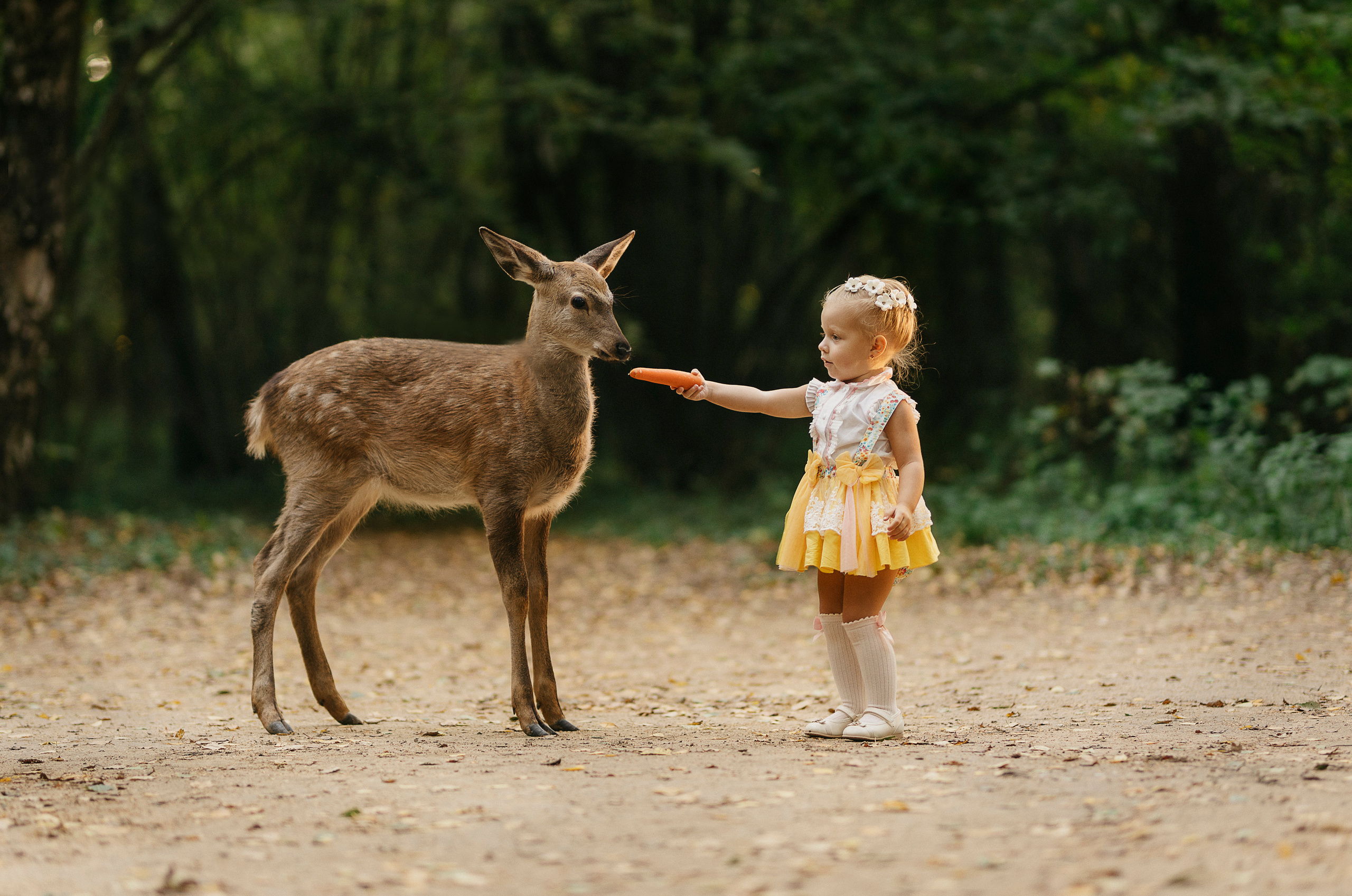 Фото из разных серий. Фотограф Москва Семейные фотосессии Детские фотосессии