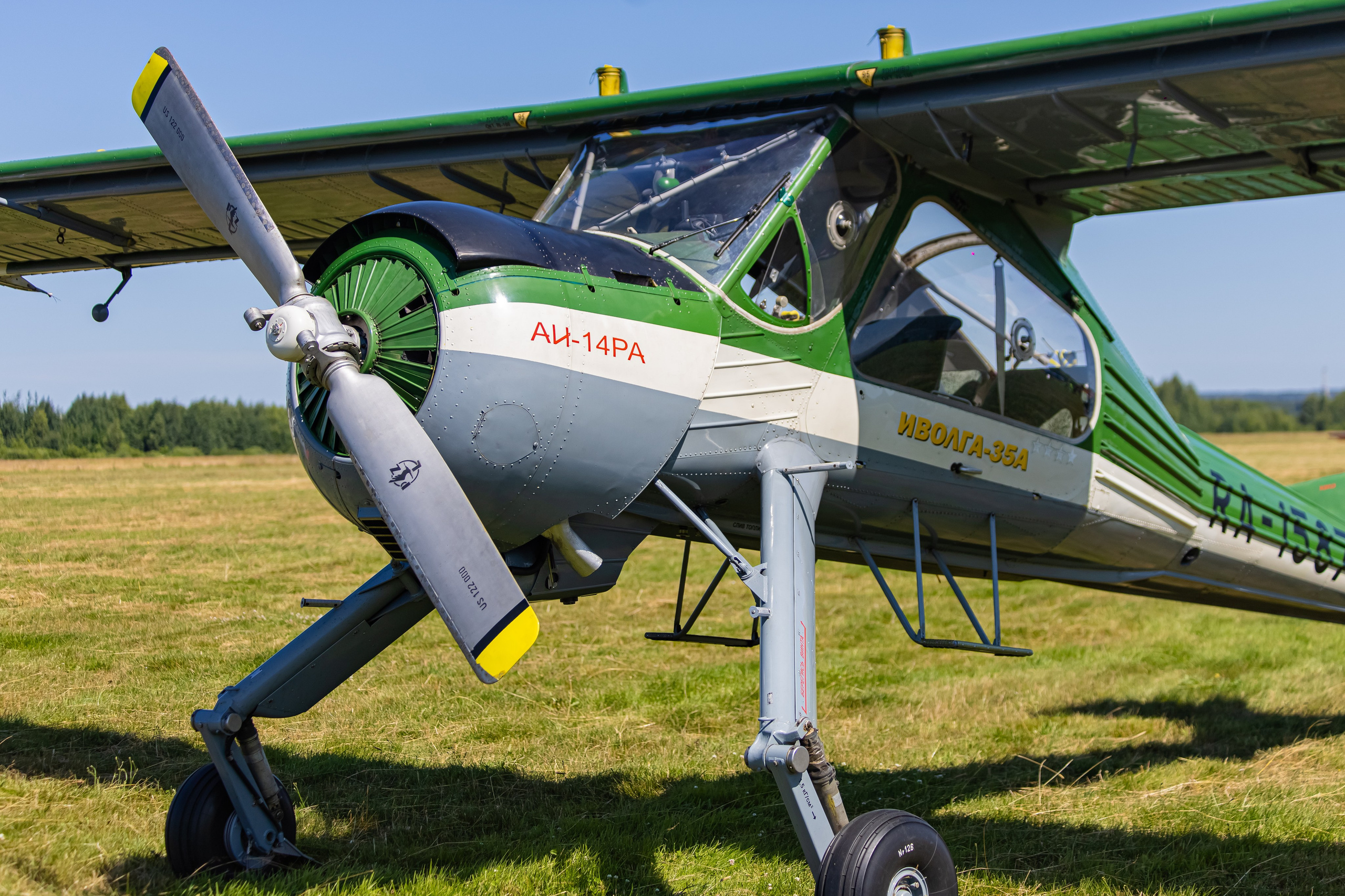 Крылья Пармы 2025 г. KATERINA VINOKUROVA ФОТОГРАФ ПЕРМЬ