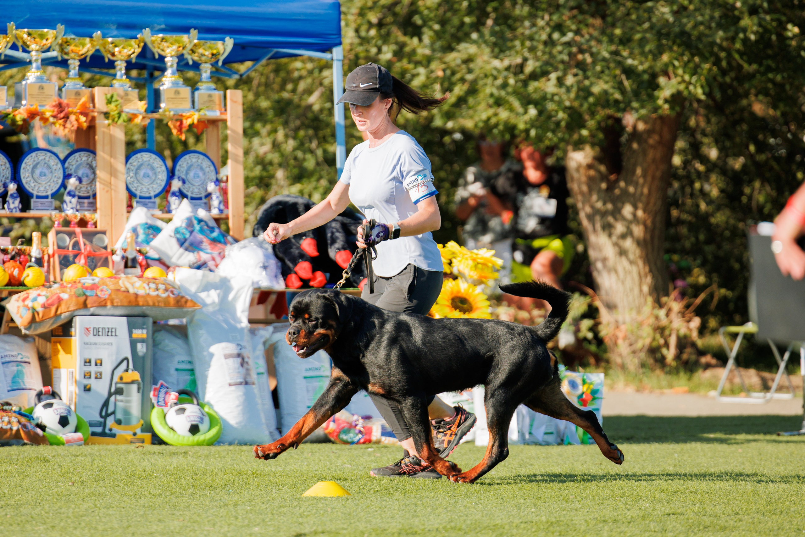 Анапа ротвейлеры 14-15.09.2024. Фотограф-анималист Юлия Германика
