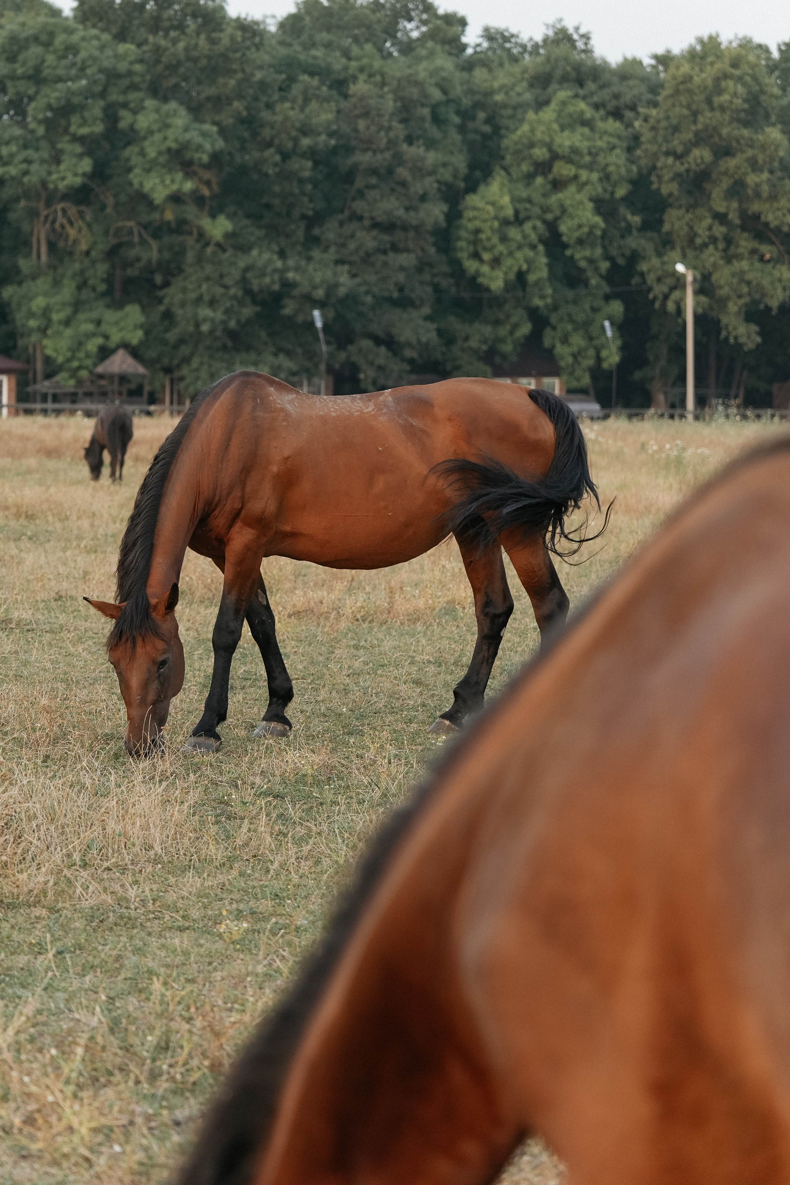 Фотосессия на природе. Фотограф с психологическим образованием