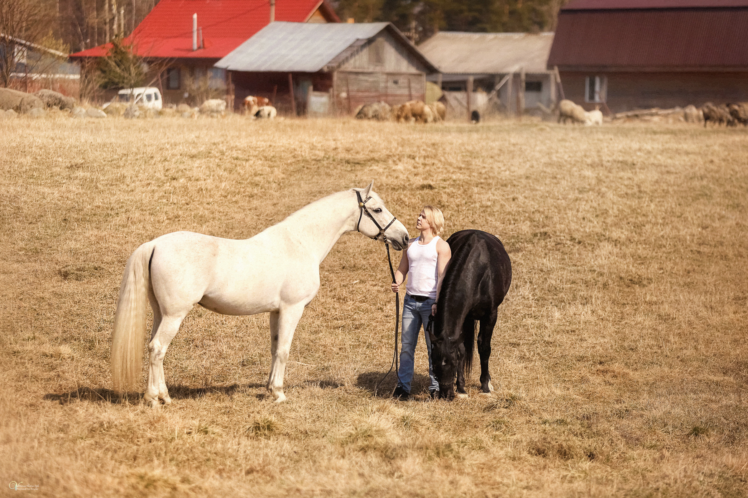 Сергей и два коня — полная версия. Фотограф женский и мужской портрет Санкт-Петербург