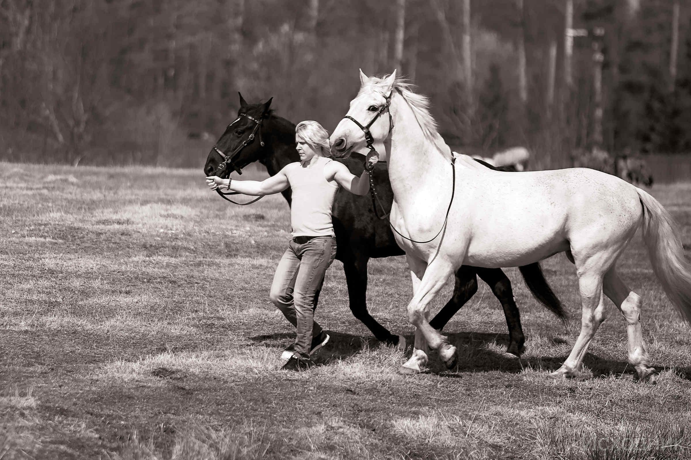 Сергей и два коня — полная версия. Фотограф женский и мужской портрет Санкт-Петербург