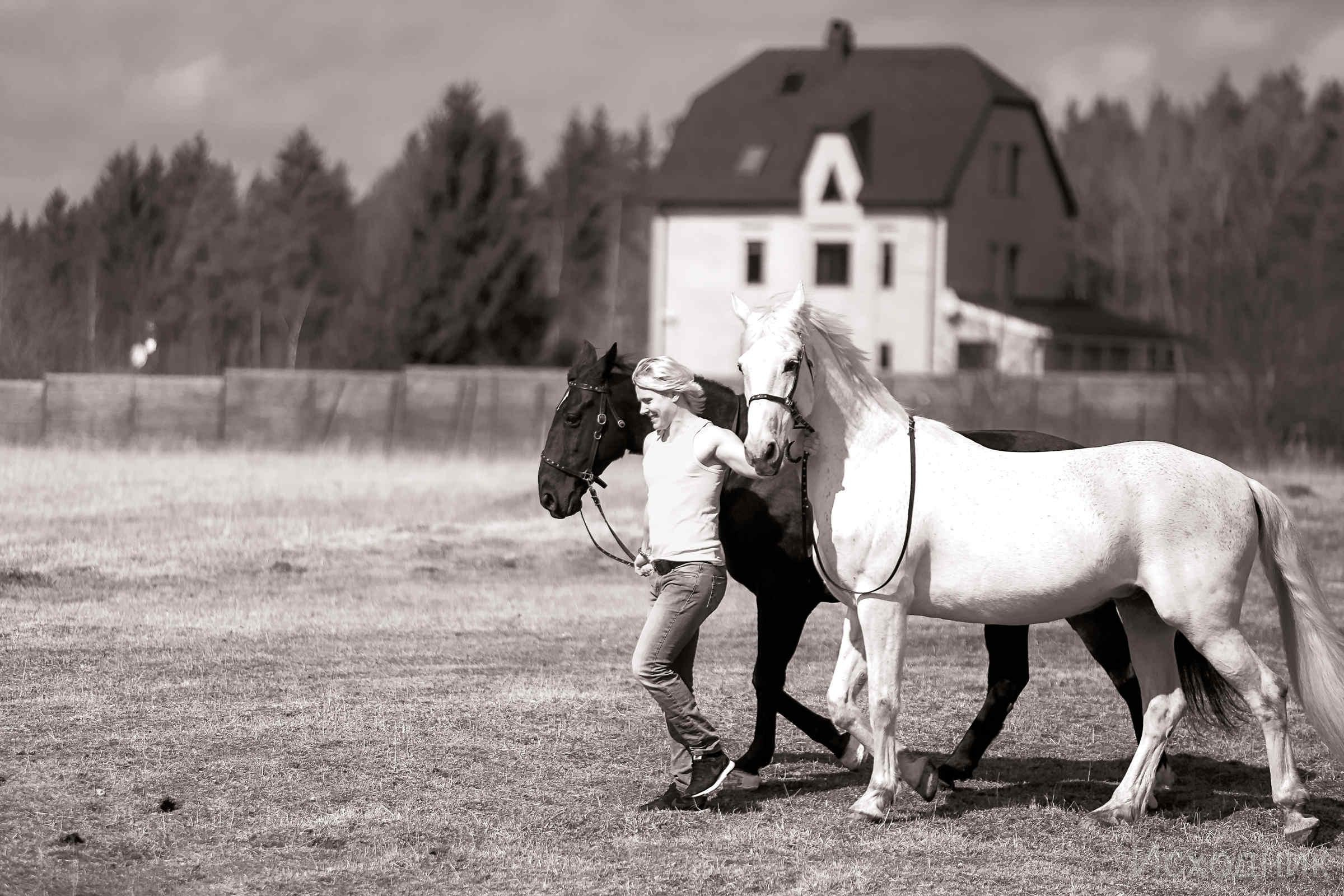 Сергей и два коня — полная версия. Фотограф женский и мужской портрет Санкт-Петербург