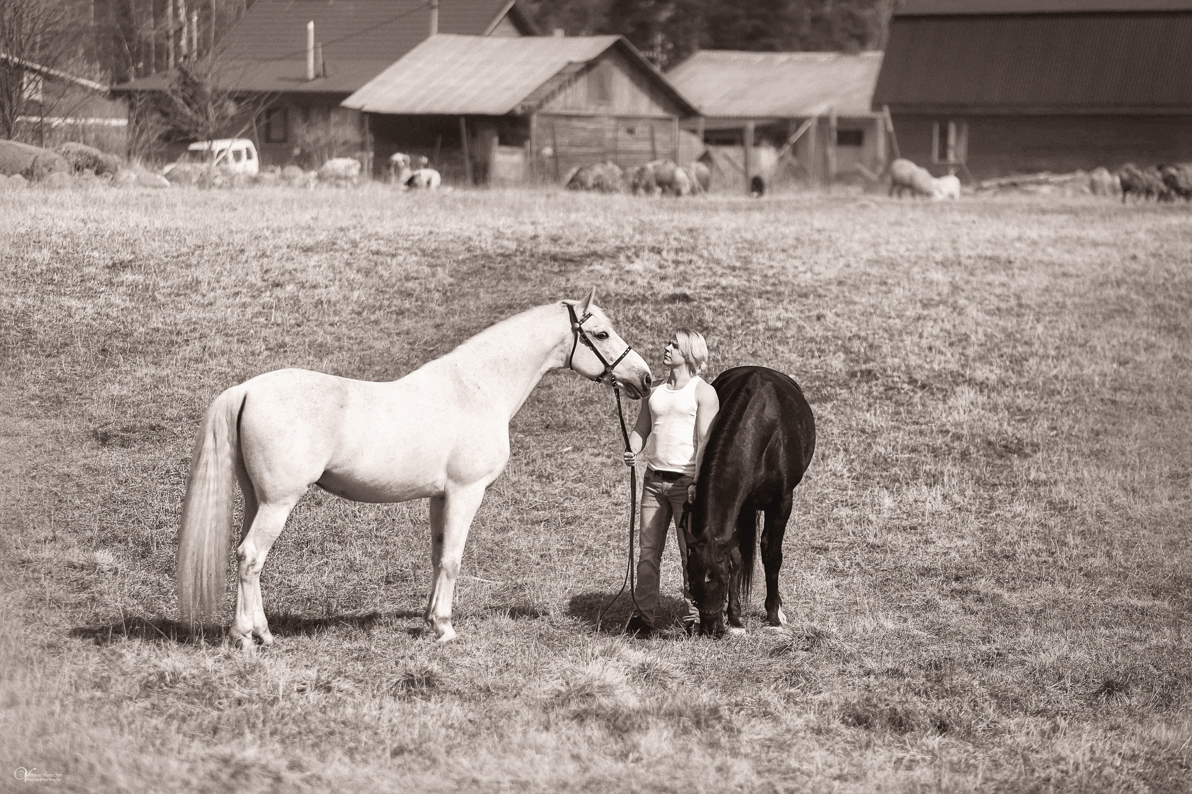 Сергей и два коня. Фотограф женский и мужской портрет Санкт-Петербург