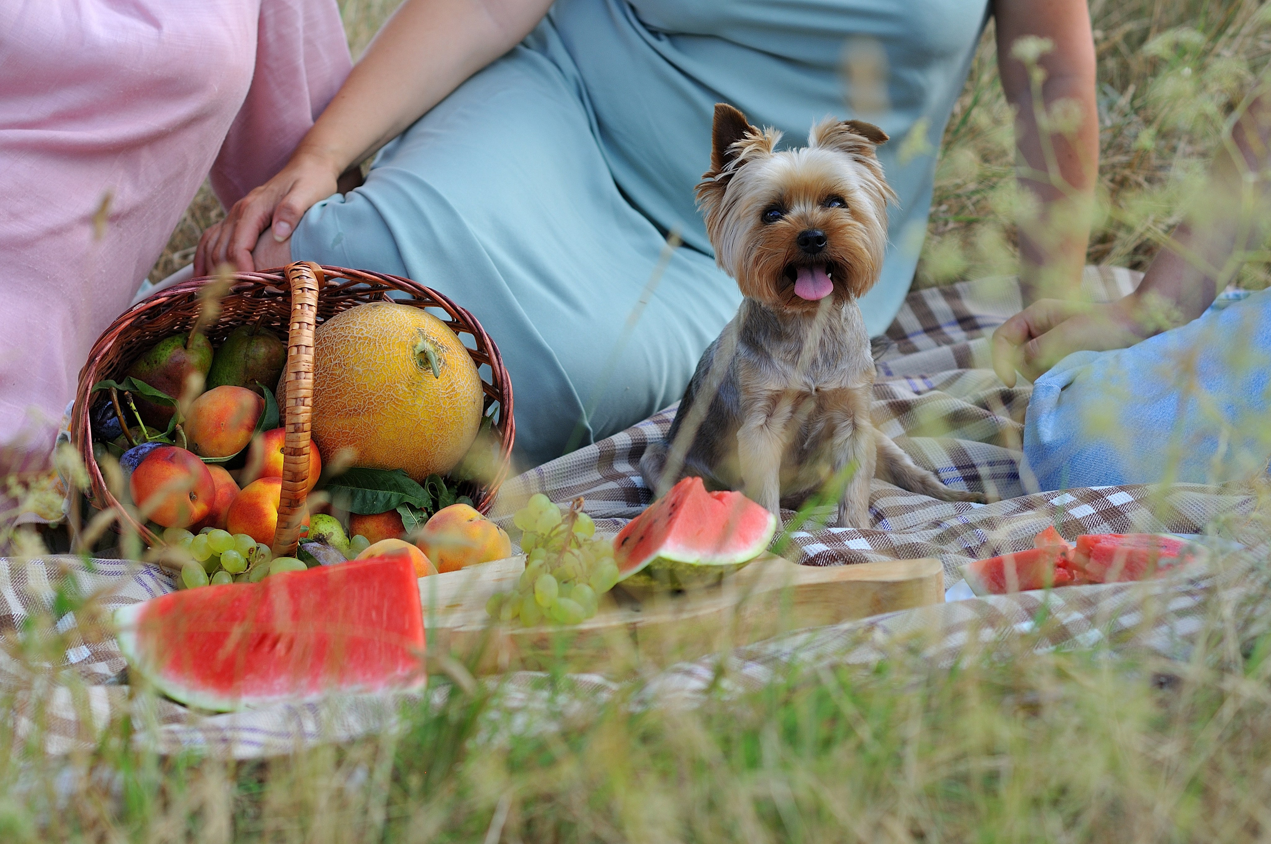 Прогулки, портреты, семья. Сейчас вылетит ПТИЧКА! Фотосессии в Керчи