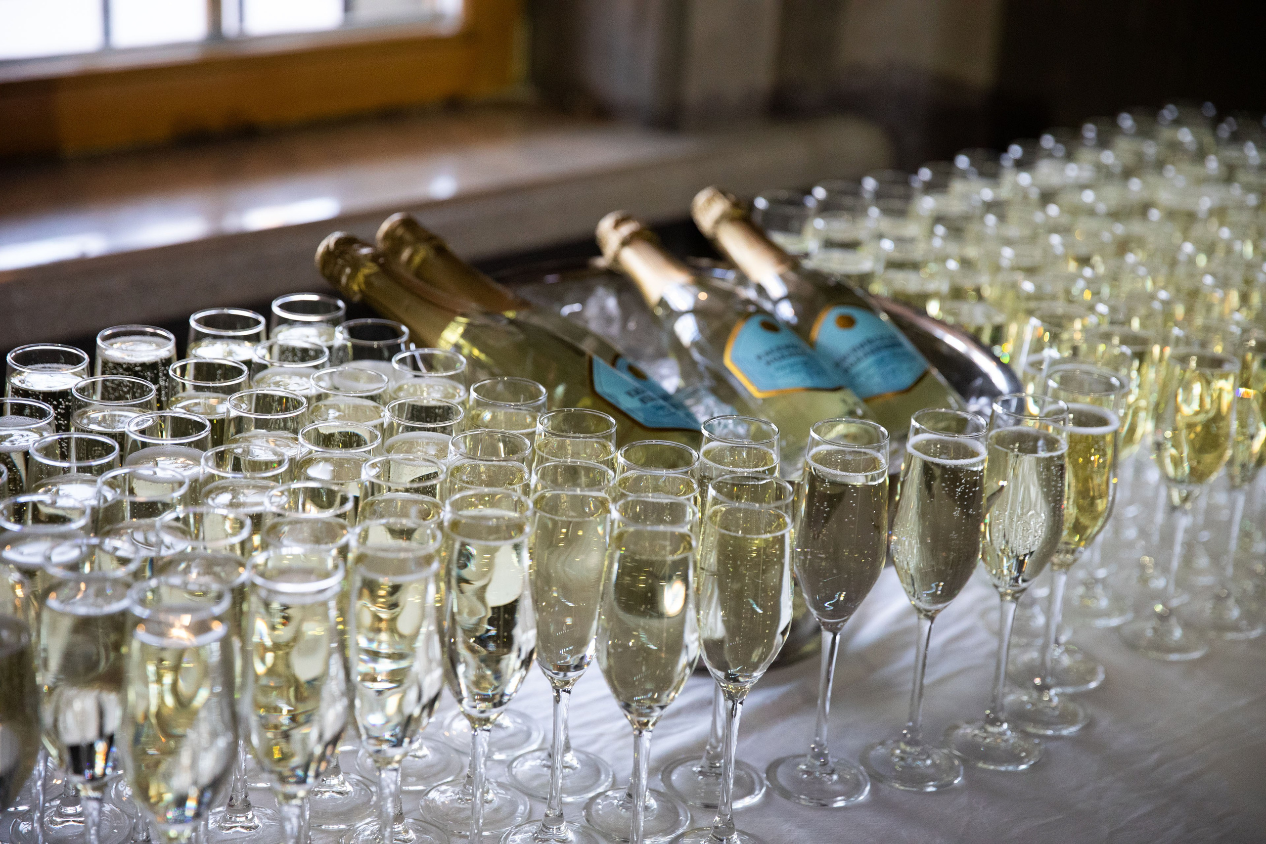 23.02.2025 Антифорум Татьяны Босовой. Фотограф в Санкт-Петербурге Алена Сертакова