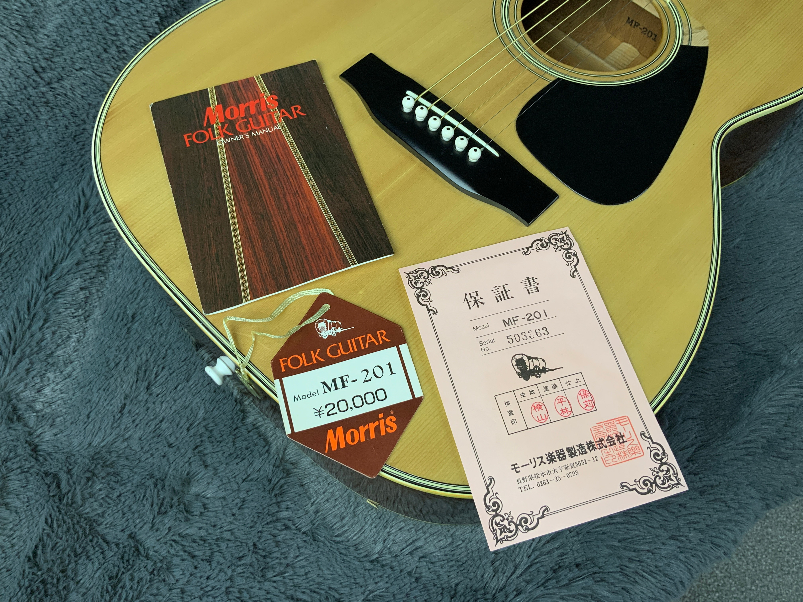 Morris MF-201 Folk Guitar Made in Japan